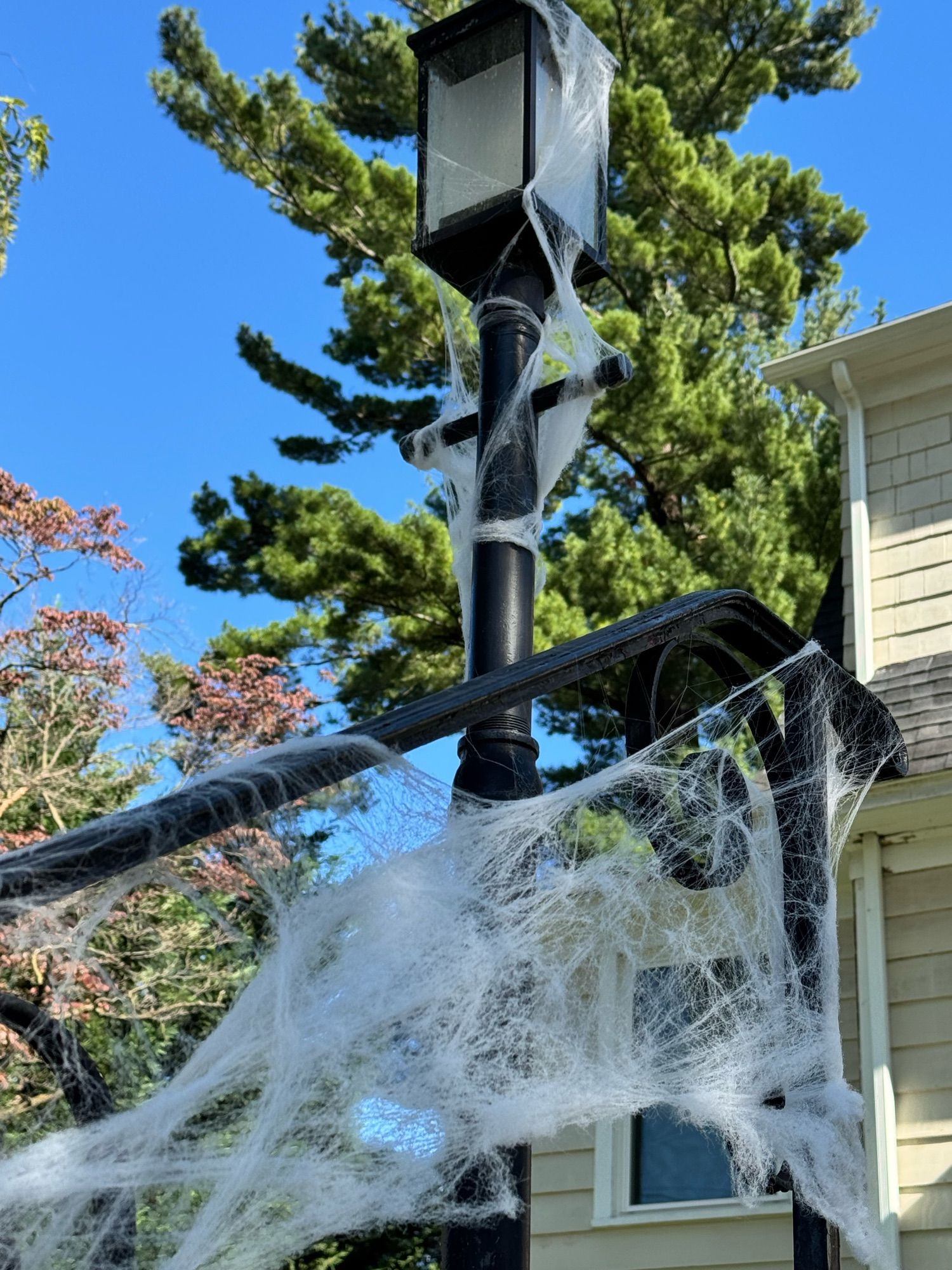 Lamppost and handrail adorned with spider webs