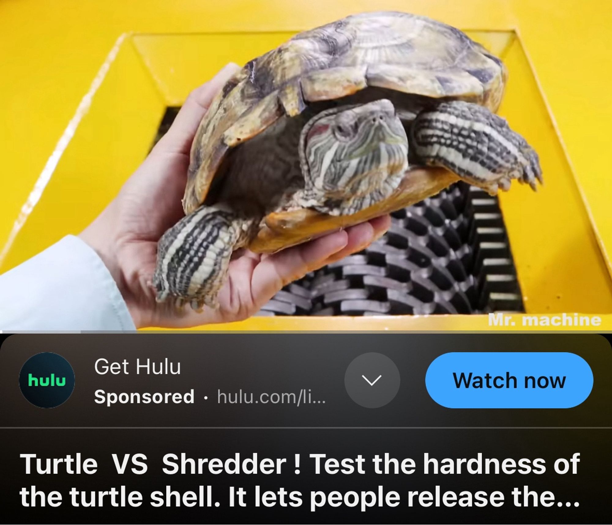 A screenshot of a YouTube video with the title “Turtle vs. shredder”