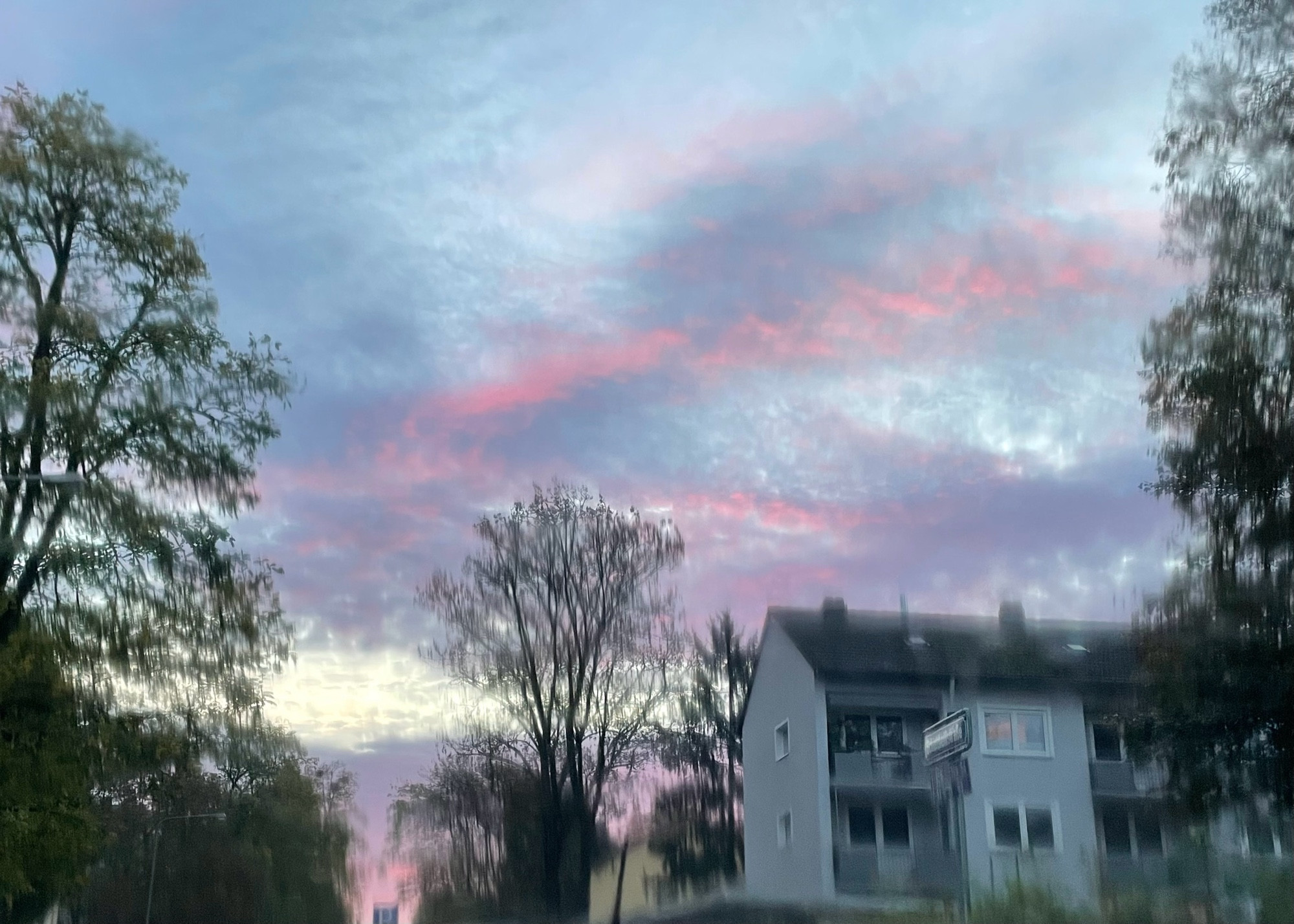 Morning sky with pink clouds