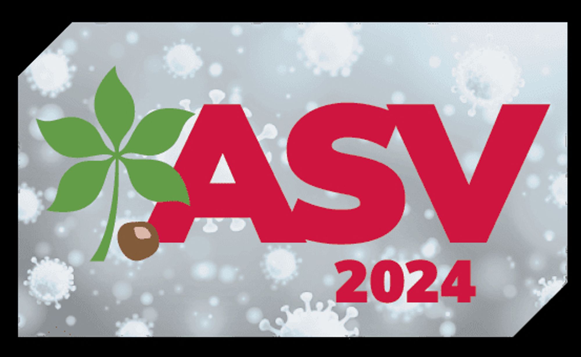 American Society for Virology (ASV) 2024 logo