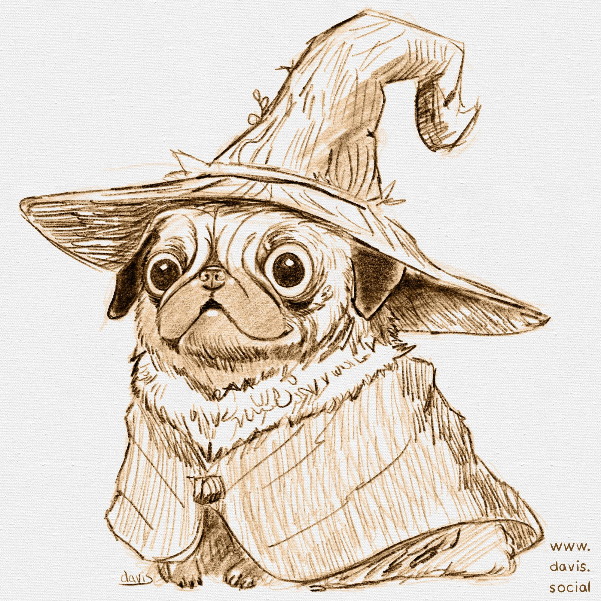 Digital illustration of a pug dressed as Rincewind from Discworld. Wizard hat and cloak.