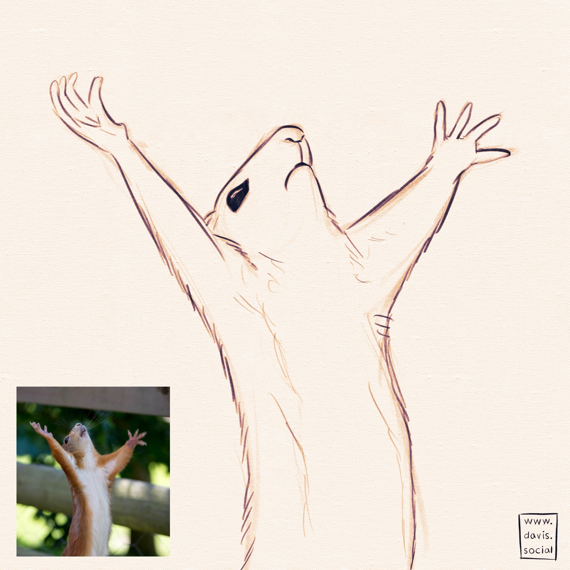 Rough doodle of a squirrel looking upward with arms outstretched to the sky