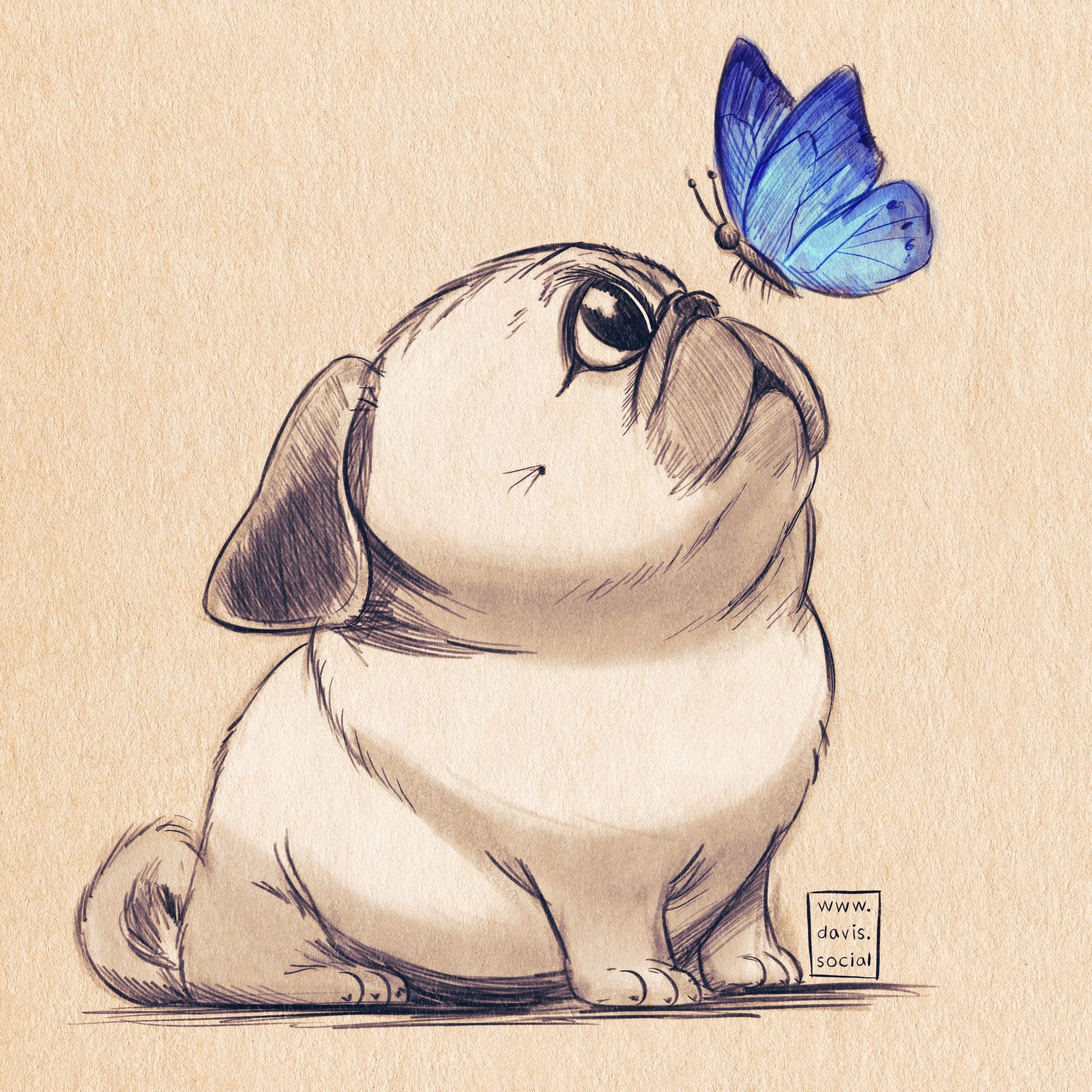 Digital artwork with a traditional appearance on yellowed paper. A small, stout pug is looking upward in wonder at a bright blue butterfly, which is fluttering near the pug’s nose.