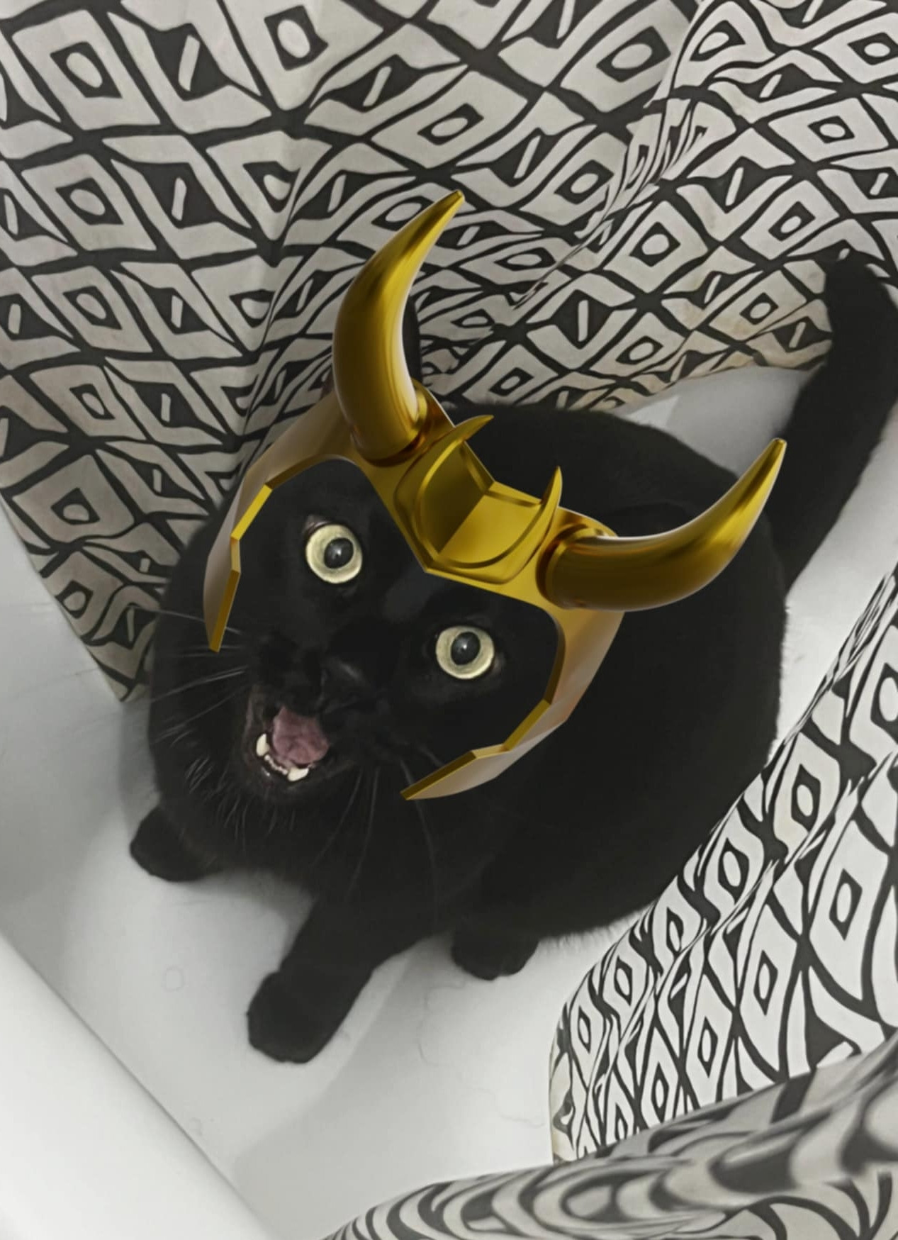 Chat noir d'un ami avec un filtre du casque de Loki 