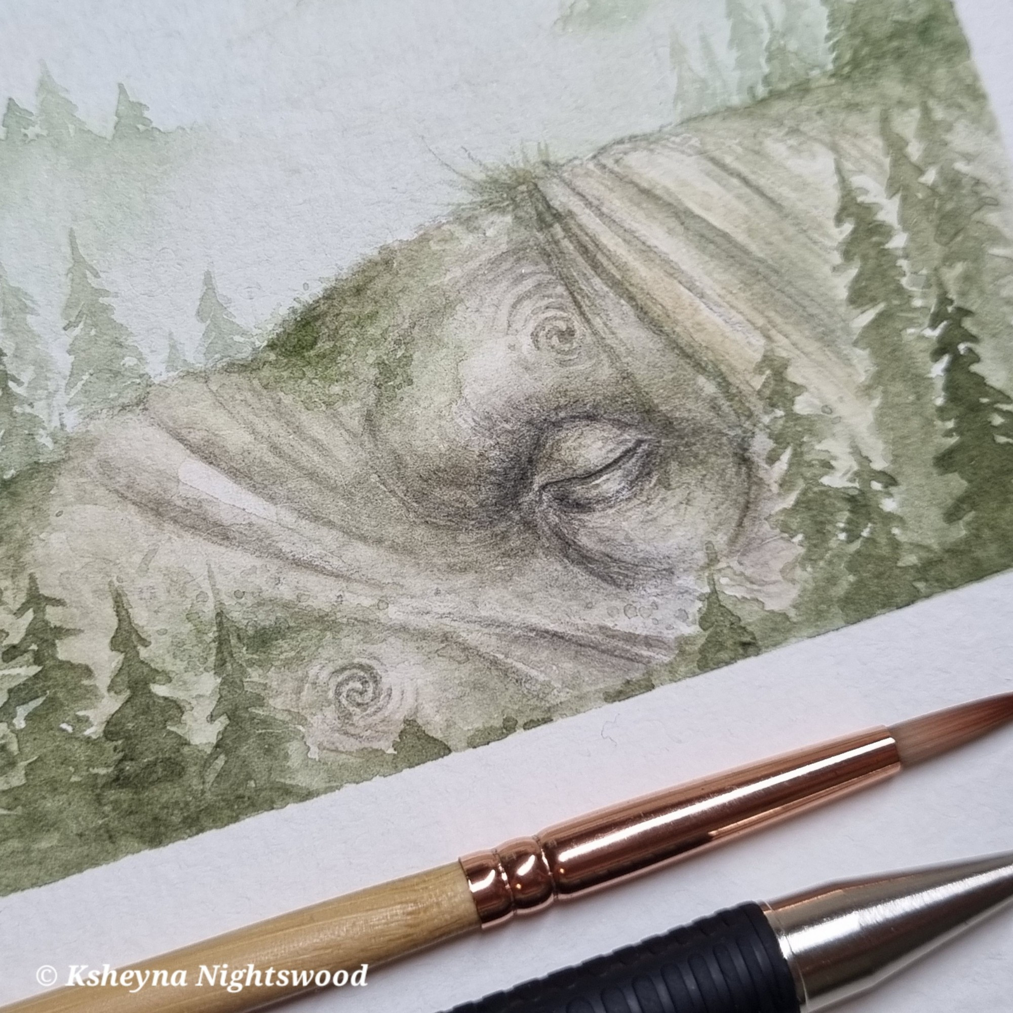 Watercolour of a giant sleeping (Scandinavian-inspired) trolls head surrounded by pine trees.