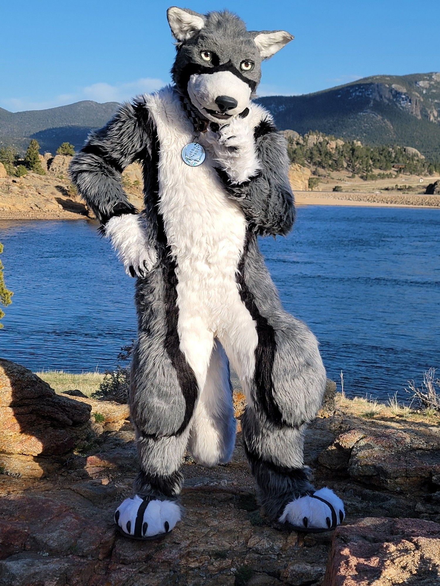 A Gray Wolf fursuiter pondering at a lake. He is facing the camera, and behind him there is a sandy shore across the water, with mountains rolling off in the distance beyond the shore.