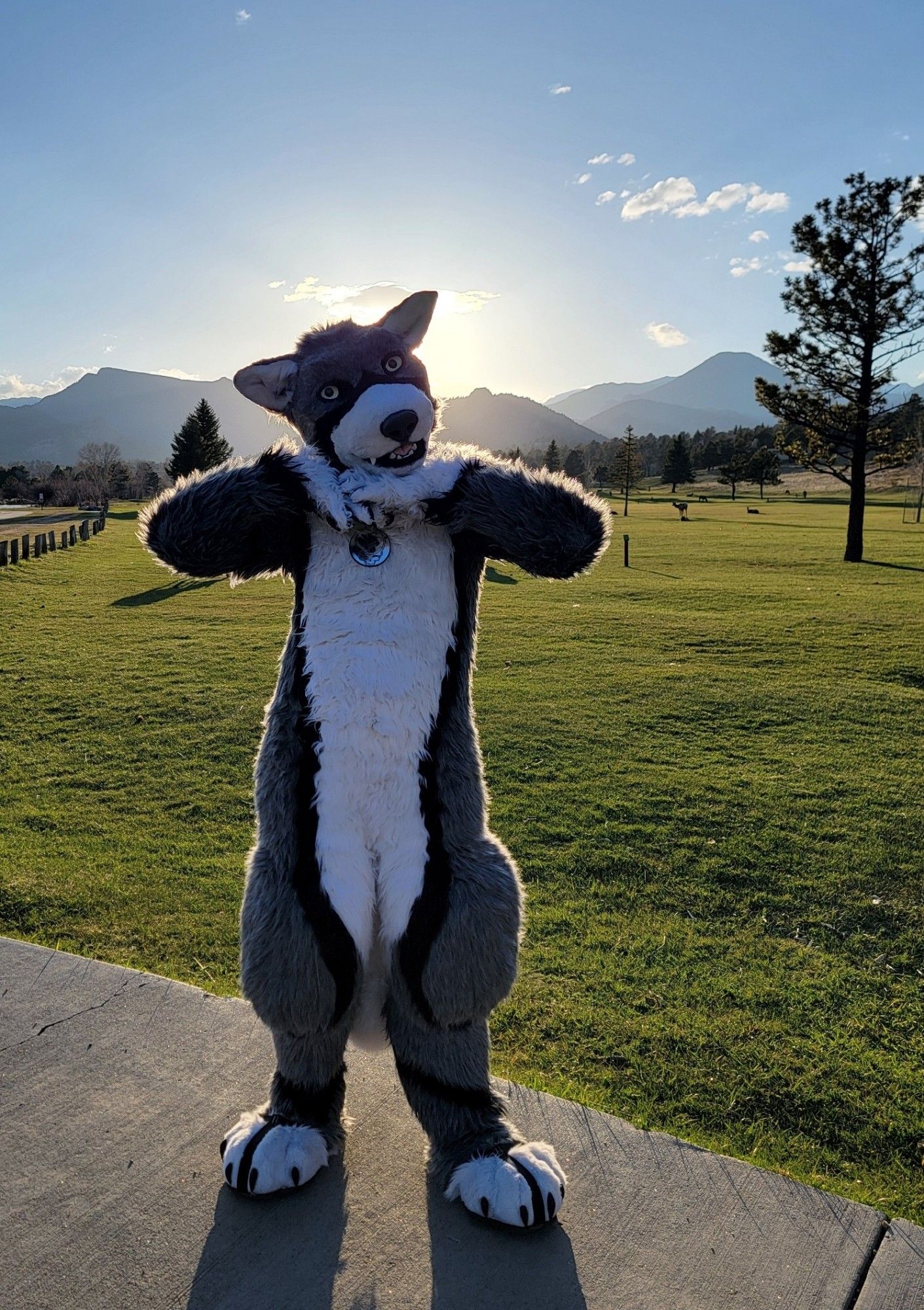 A Gray Wolf fursuiter with his back to the sun. He's got a pose where he is supporting his chin with both his paws on top of one another, elbows extended to either side, standing on the sidewalk, flashing you a smile.