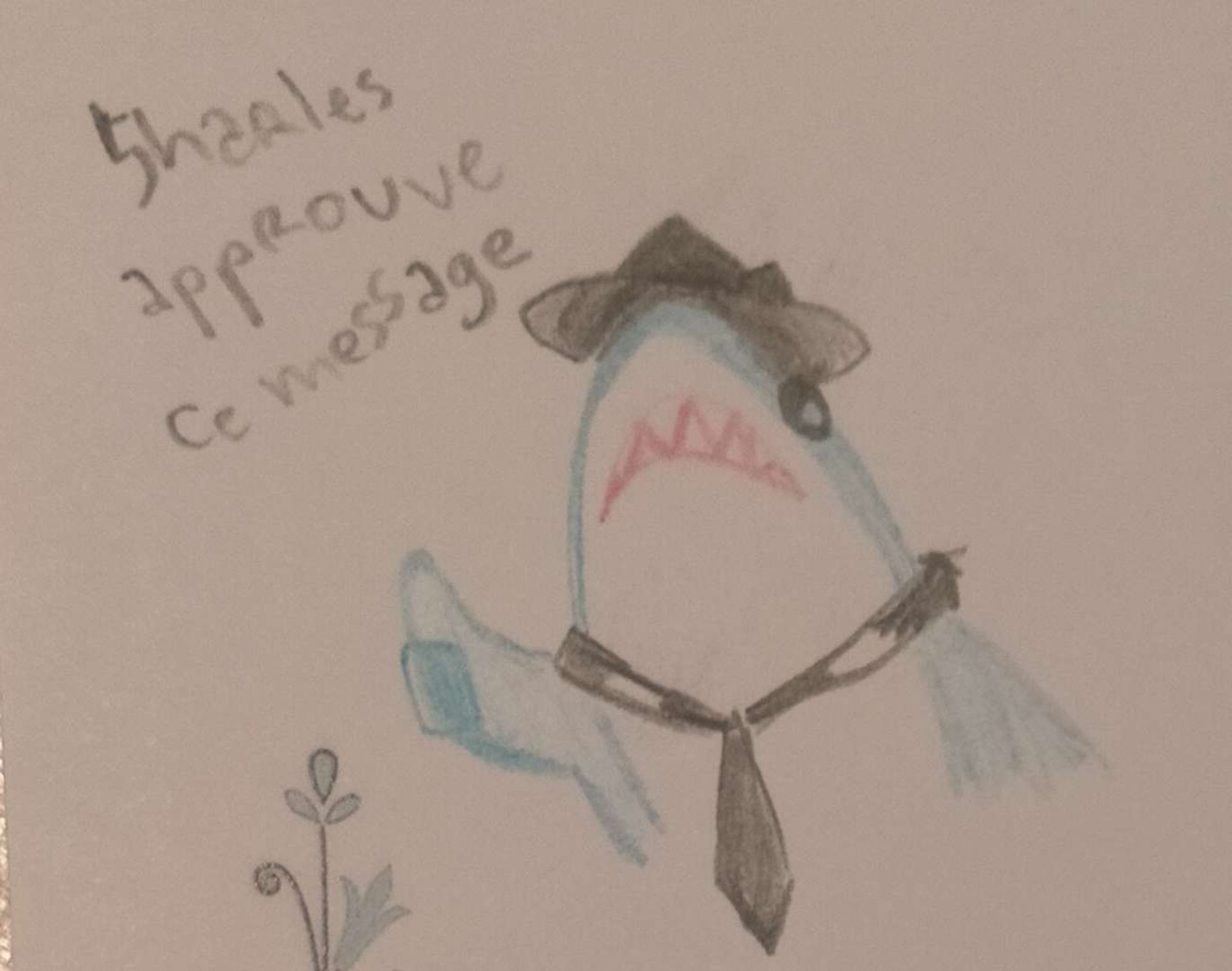 Dessin au crayon de couleur d'un requin très distingué. Il a une cravate et un chapeau. Sa nageoire est plié de tel manière qu'on est l'impression qu'il leve le pouce en l'air et un texte accompagne le dessin : Sharles approuve ce message.