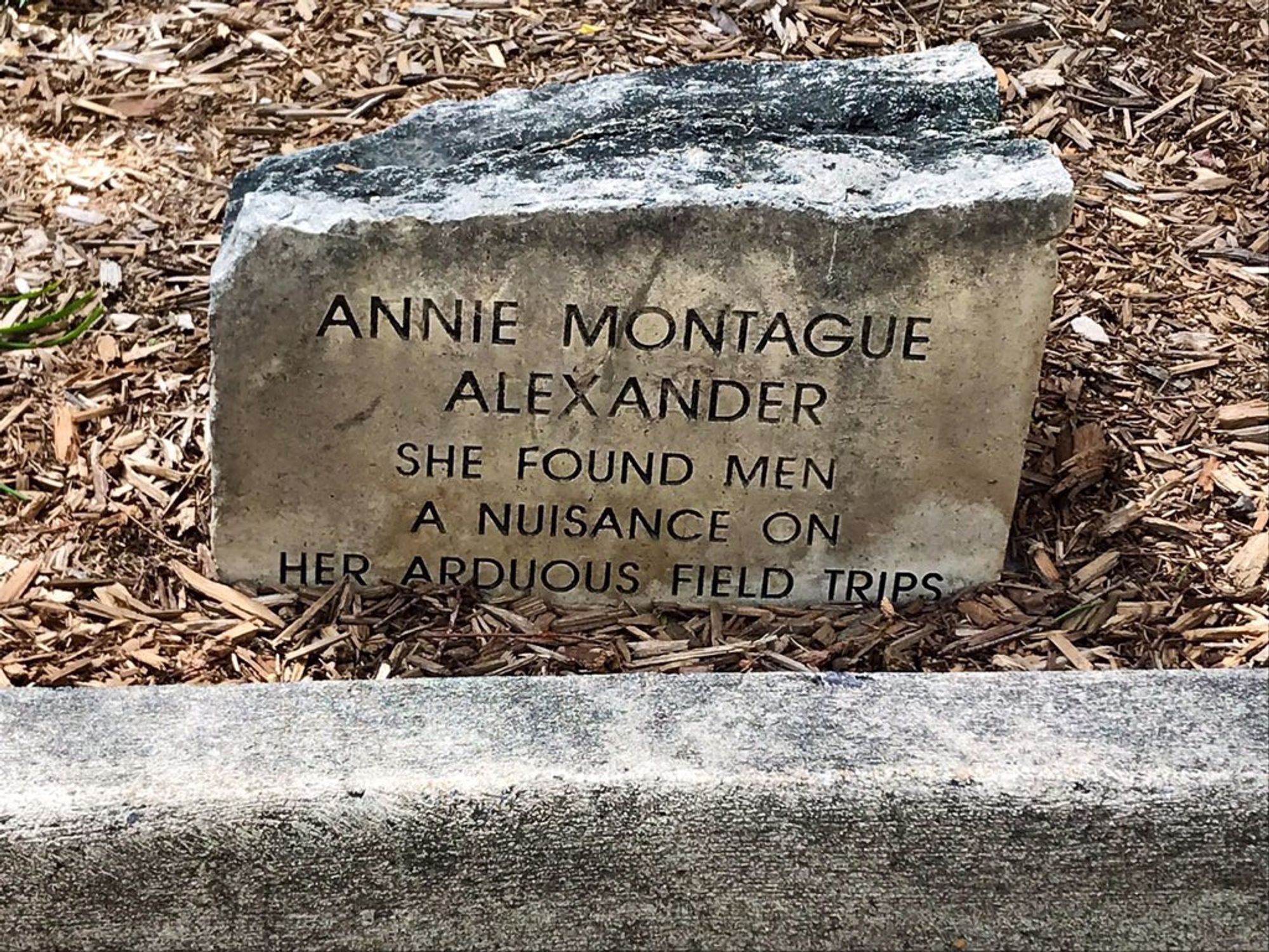 The best possible monument to Annie Alexander  (1867-1950), paleontologist, geologist, educator, philanthropist. Breaking all those restrictive social norms and rules took guts and stamina ⚒️🧪
The monument inscription is "she found men a nuisance on her arduous field trips".
Image credit: ReBecca Hunt-Foster