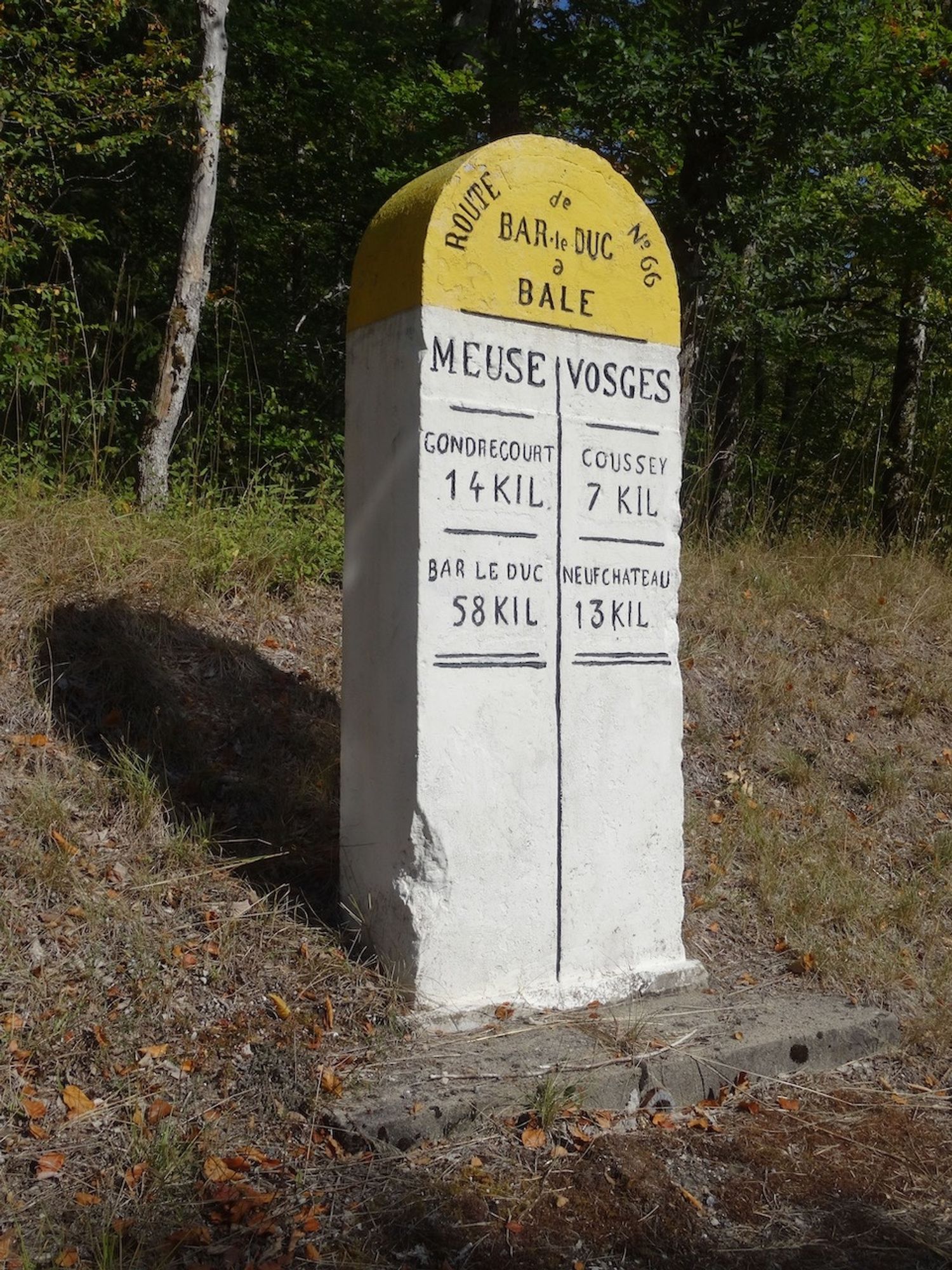 Ancienne borne délimitant les territoires des départements de la Meuse et des Vosges