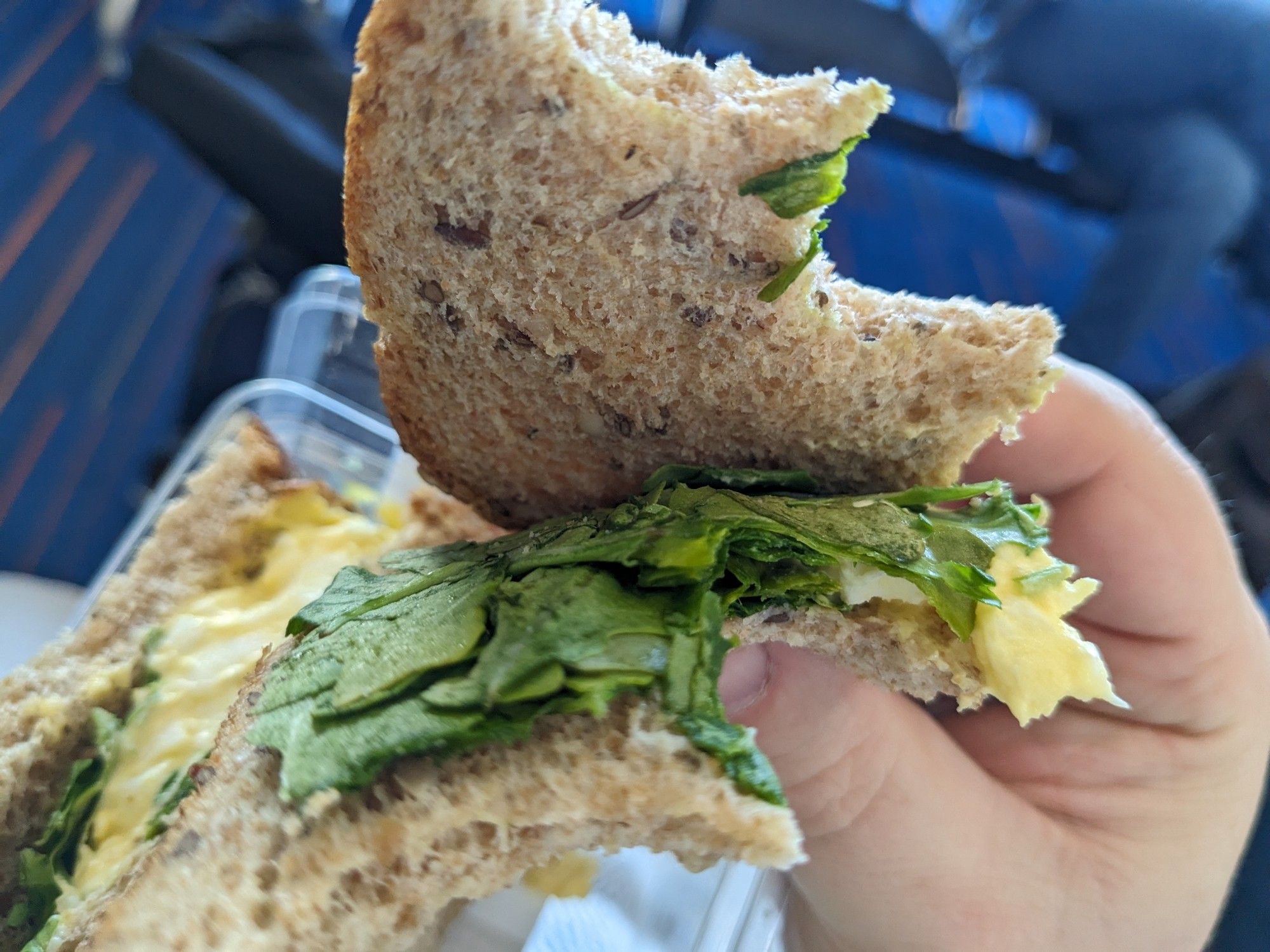 Egg-salad and lettuce sandwich with almost no egg on one half.