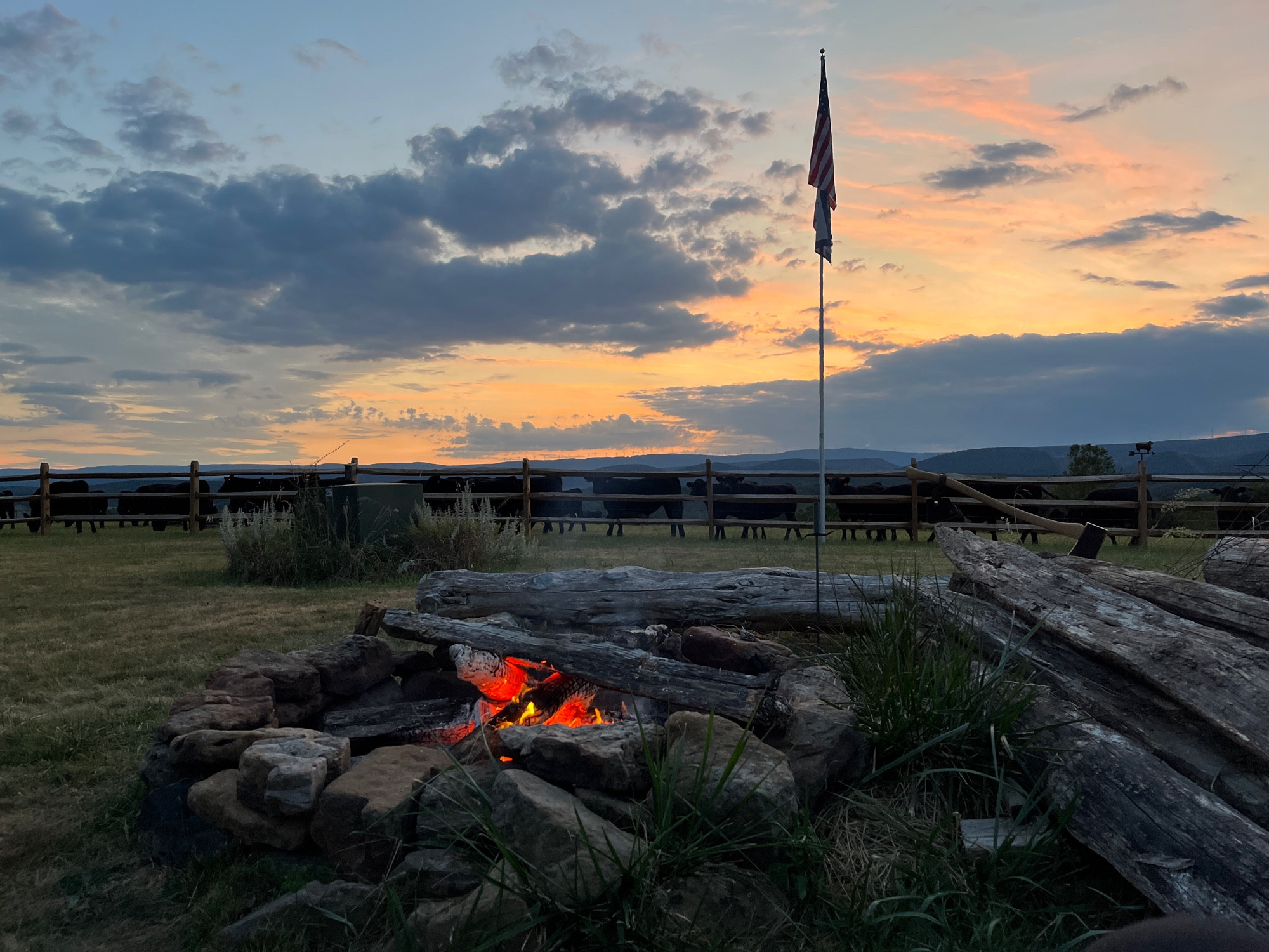 a sunset picture of a fire pit near a fence with cows on the other side