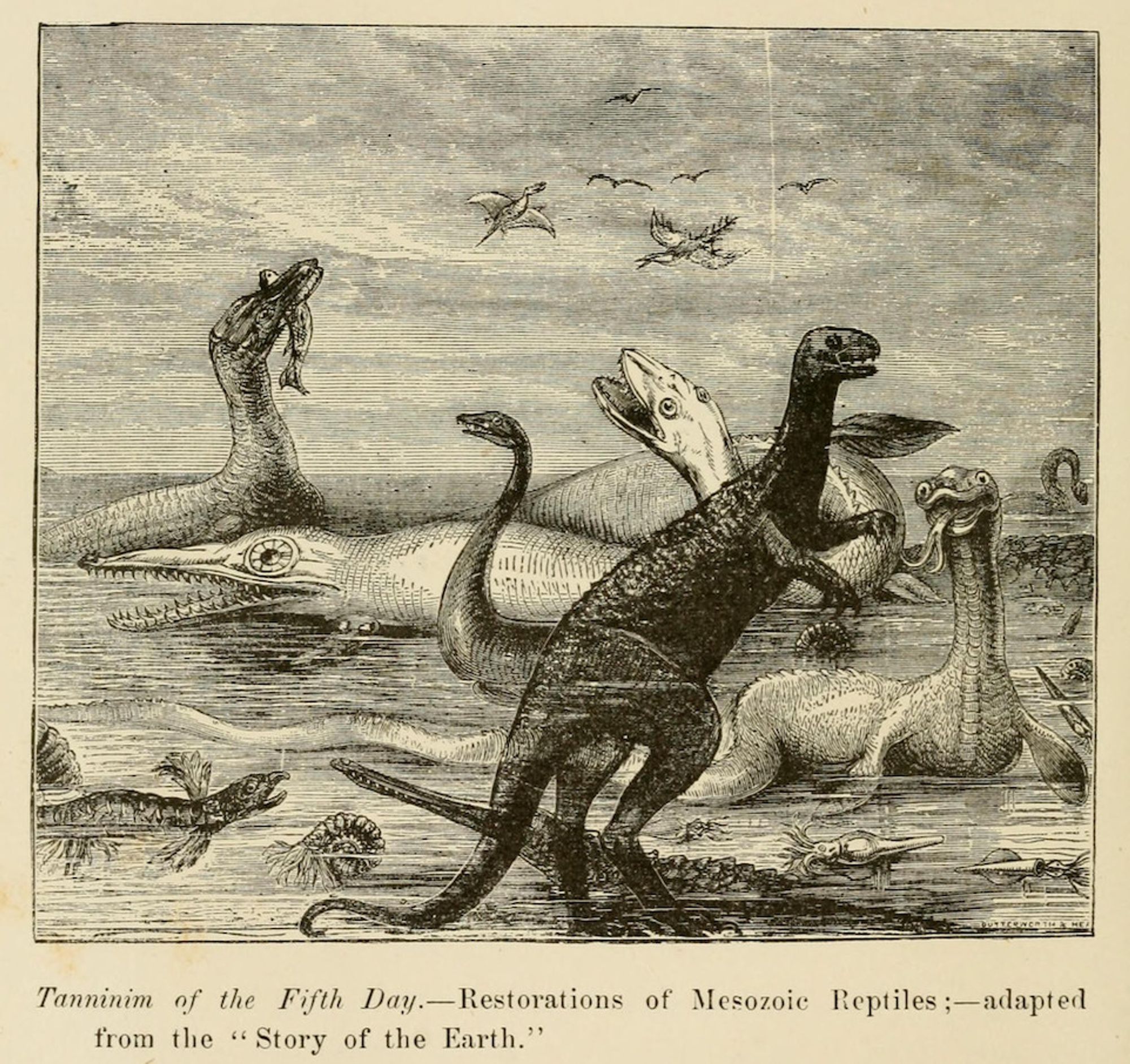 A nineteenth-century engraving of Mesozoic reptiles, e.g. dinosaurs, plesiosaurs, ichthyosaurs.