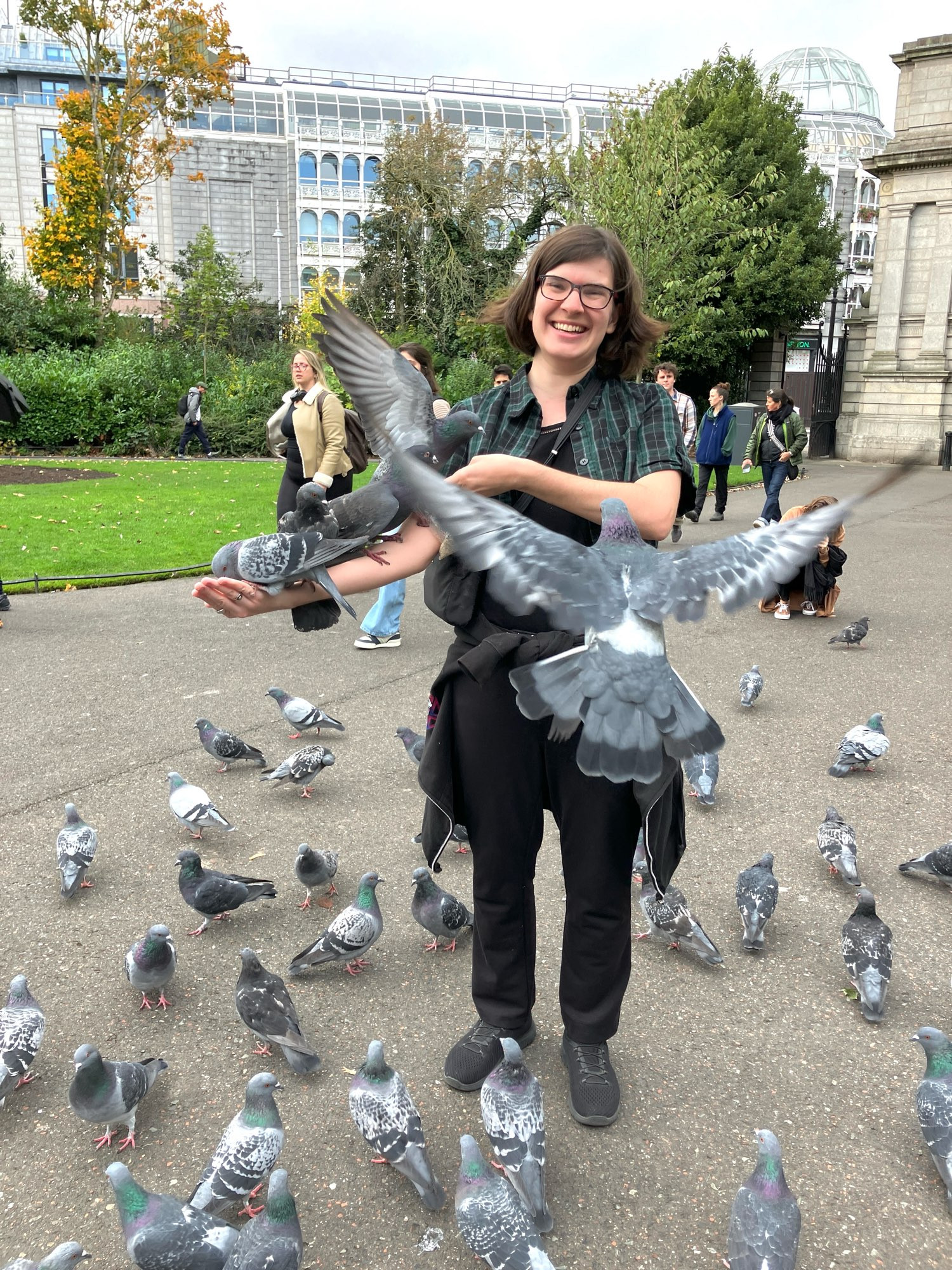 Me feeding a swarm of pigeons in a park