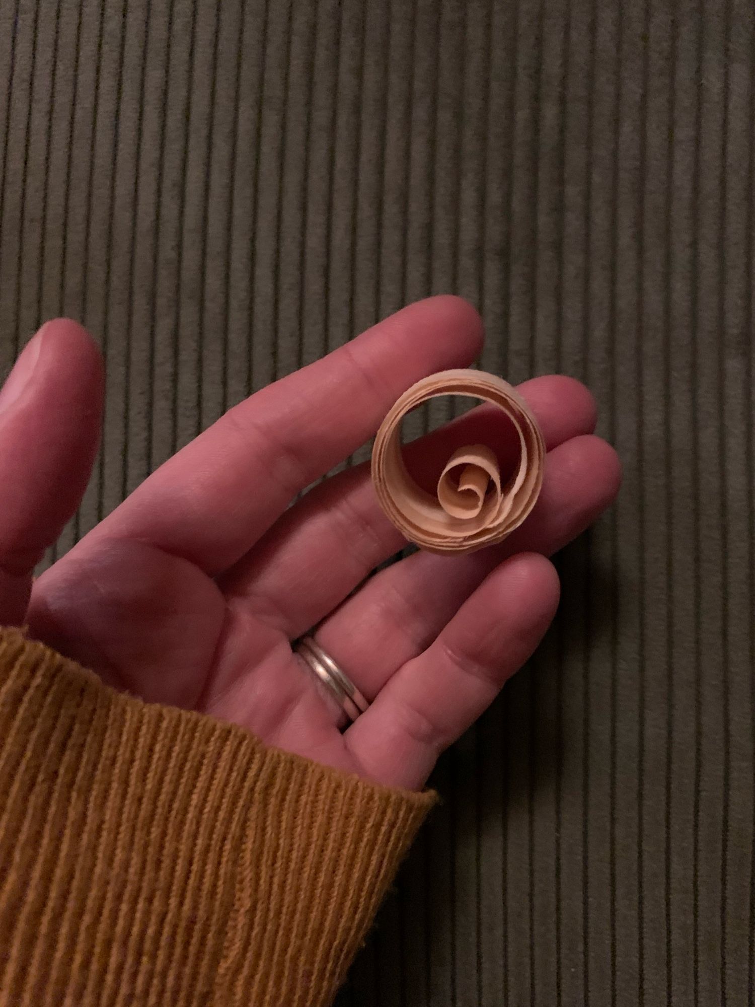 A photo of a hand holding a circular wood shaving with a smaller spiral inside of it.