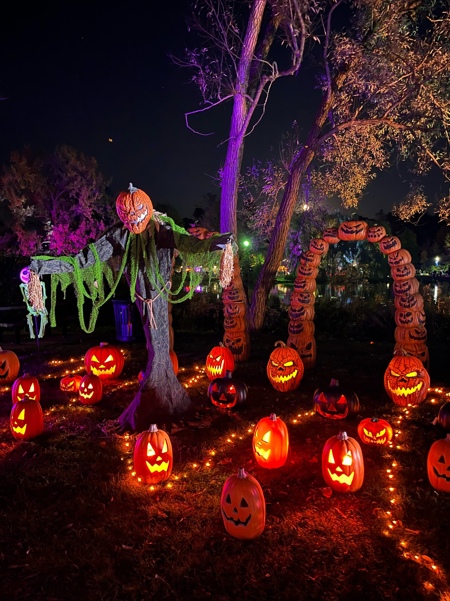 On the side of the forest trail, there’s a pumpkin patch of Jack-o-lanterns with orange lights all around them. In the background there are two pumpkin arches. In the middle, there’s a tall scarecrow with a jack-o-lantern as the head.