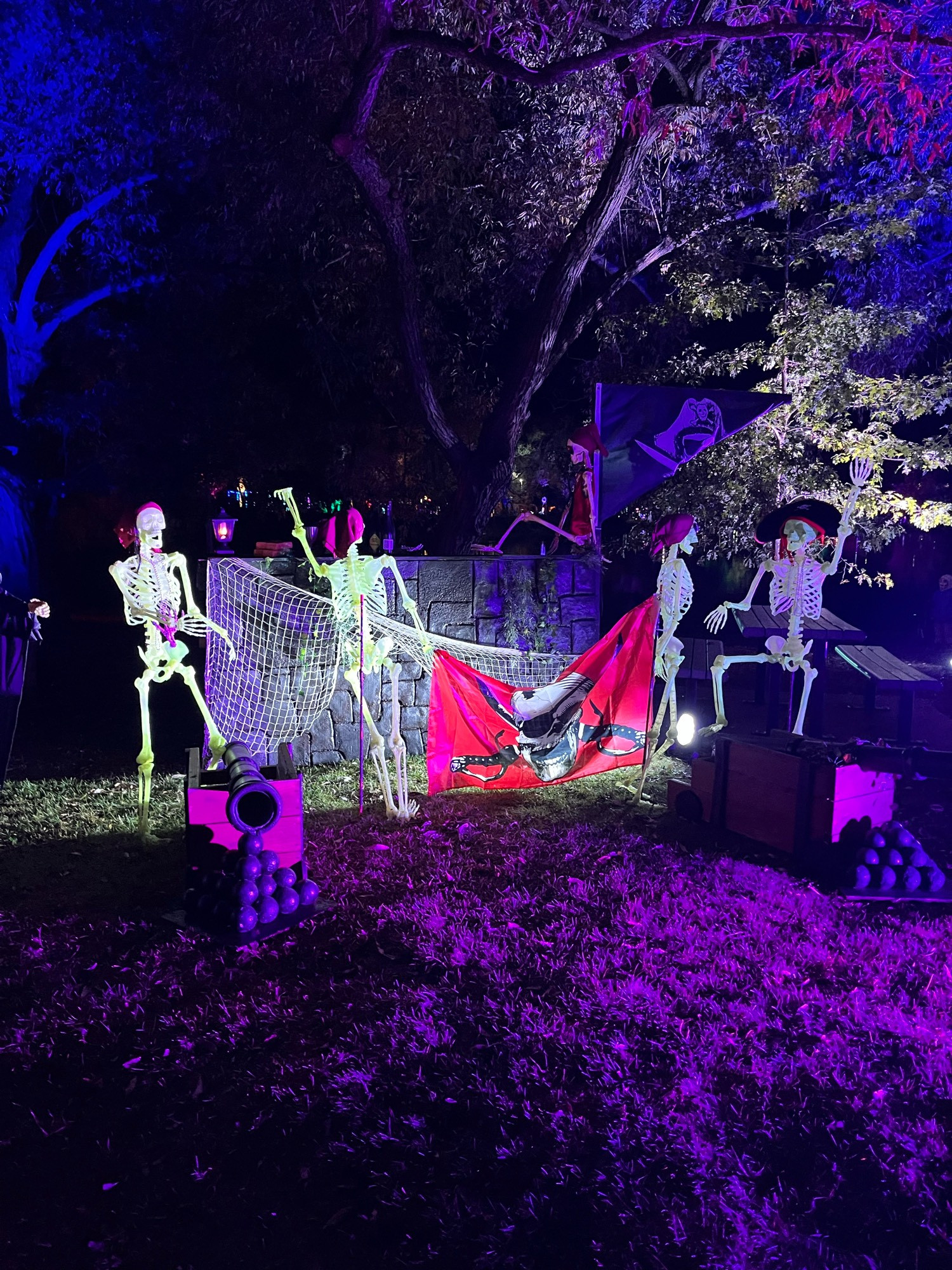 Skeletons dressed as pirates and placed in a scene in a forest trail. They are shooting canon balls and holding a pirate flag.