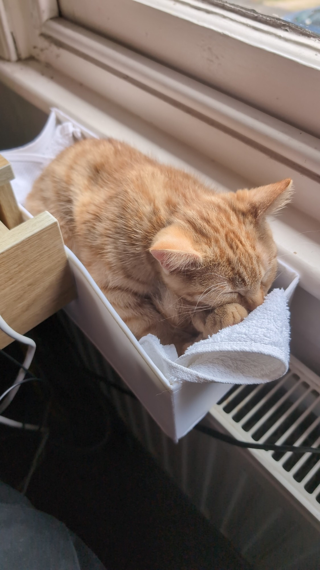 Ginger cat kitten asleep in a small rectangular box on a radiator, looking like a small brown loaf of bread.