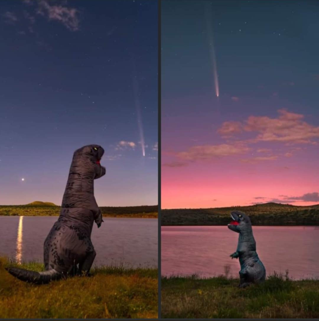 Under a setting sun, two pictures of a Tyranosaurus Rex (person in an inflatable suit) looking, mouth agape, at the comet that could be mistaken by a dinosaur brain as another asteroid come to wipe out the pre-birds.