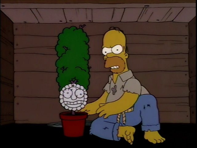 Homer Simpson with Marge's face drawn on a paper plate and stuck onto a potted plant 