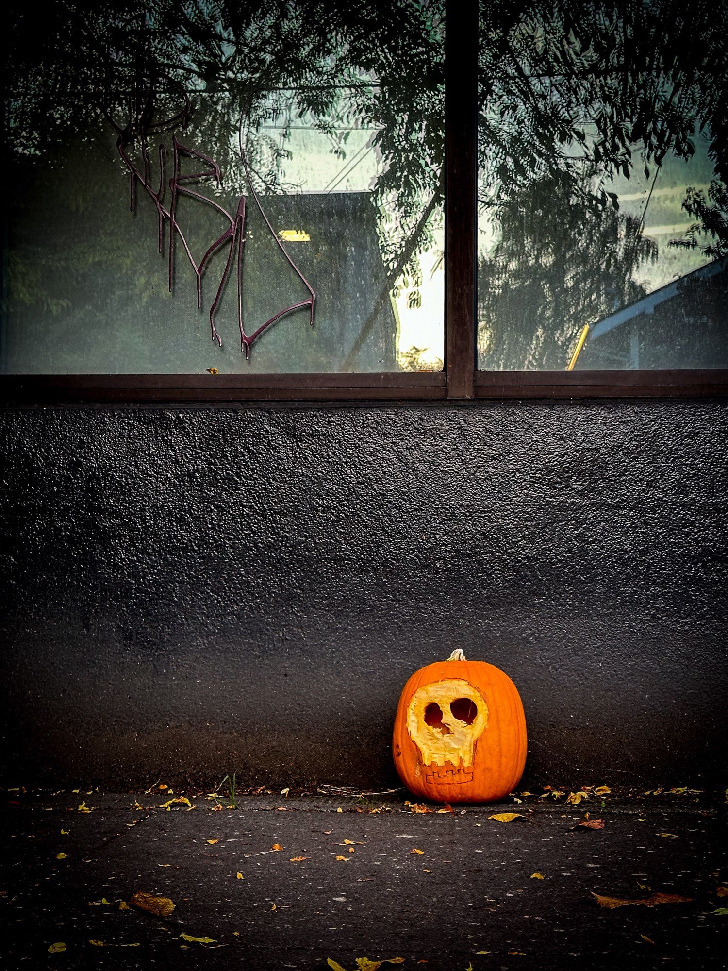 Photo of a discarded pumpkin with a skull face carved in it sitting on a sidewalk beneath some store windows.