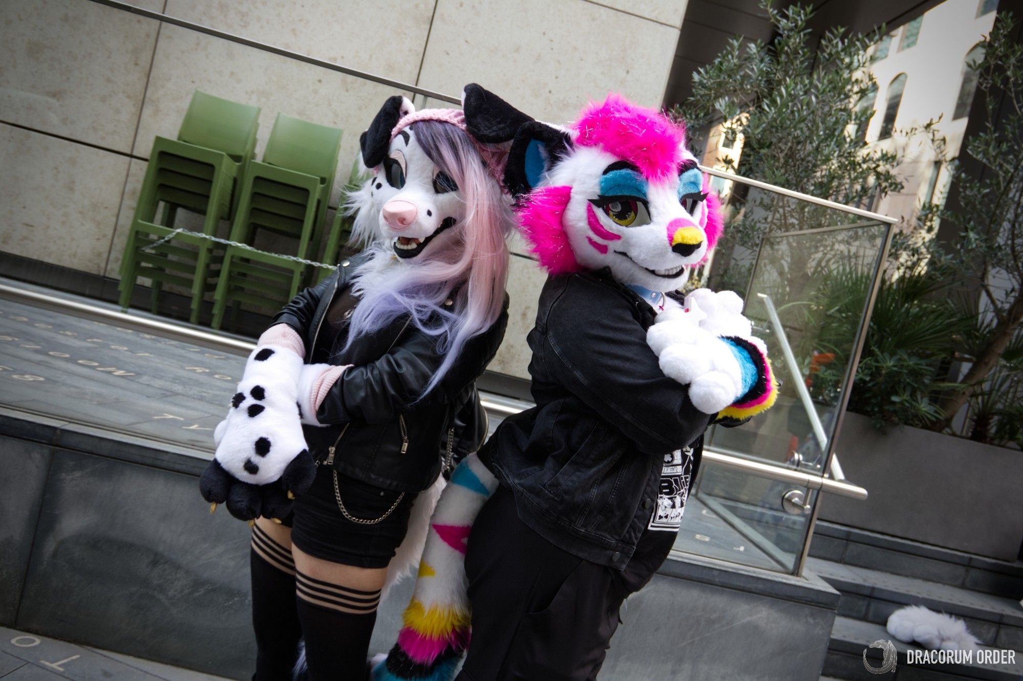 A photograph of two fursuiters standing back to back. One is a Dalmatian with black/pink/purple hair and a pink beanie. She is standing with her wrists crossed in front of her, wearing a leather style jacket, black thigh highs, and a black skirt. The other fursuiter is a white tiger with CMYK markings. She is standing with her arms folded across her chest, in a black denim jacket and black trousers.