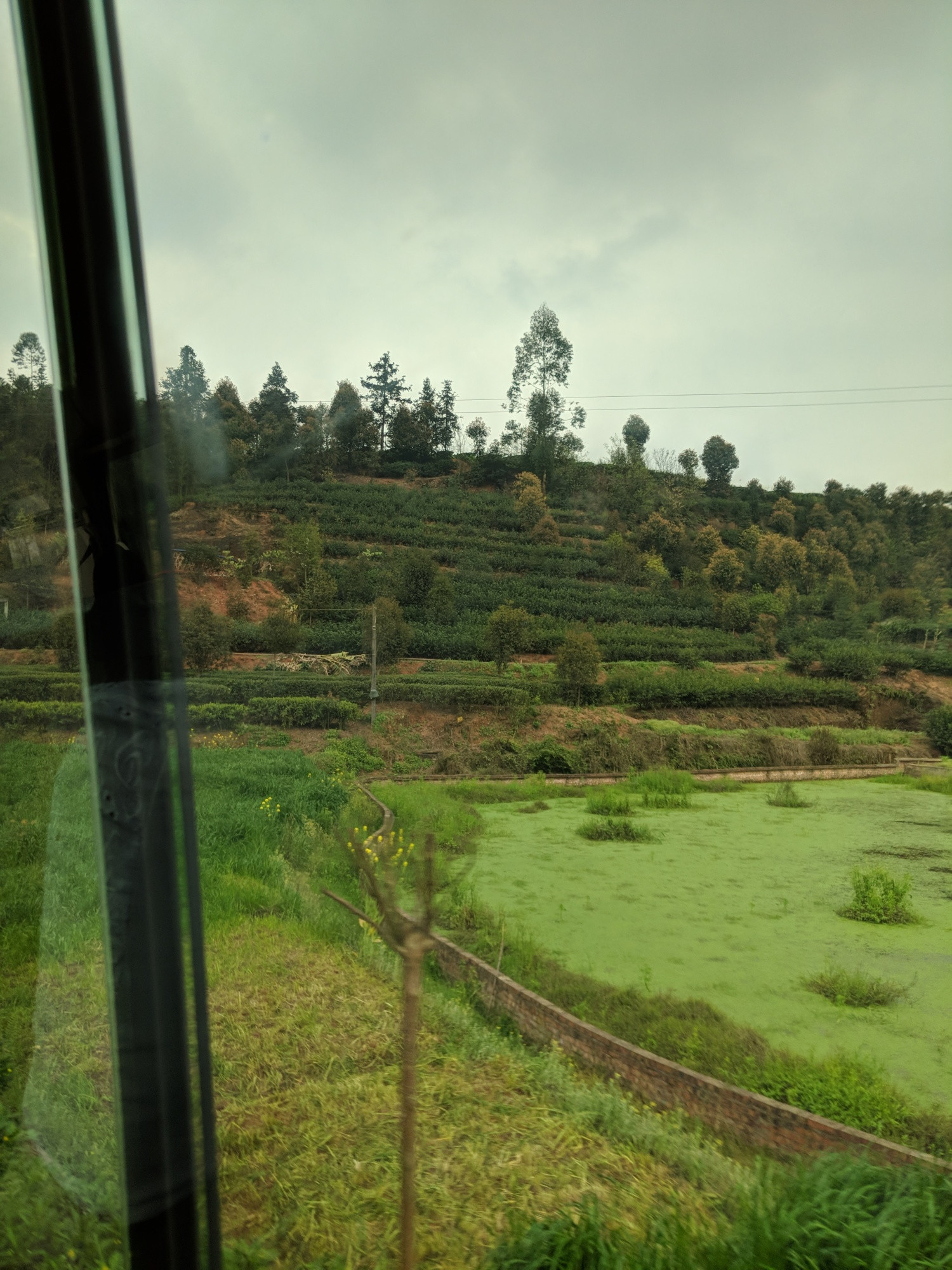 Pictures I took in the Sichuan countrysideon our way to seeing the  Shouting Ceremony. This is just a few of the sites we drove past, including some small towns with the people waving at us (we wanted back). Last picture might be part of the Tea Horse Road (I have a picture of a monument by the road carved out of a mountain too). This is the countryside with tea plants growing. 