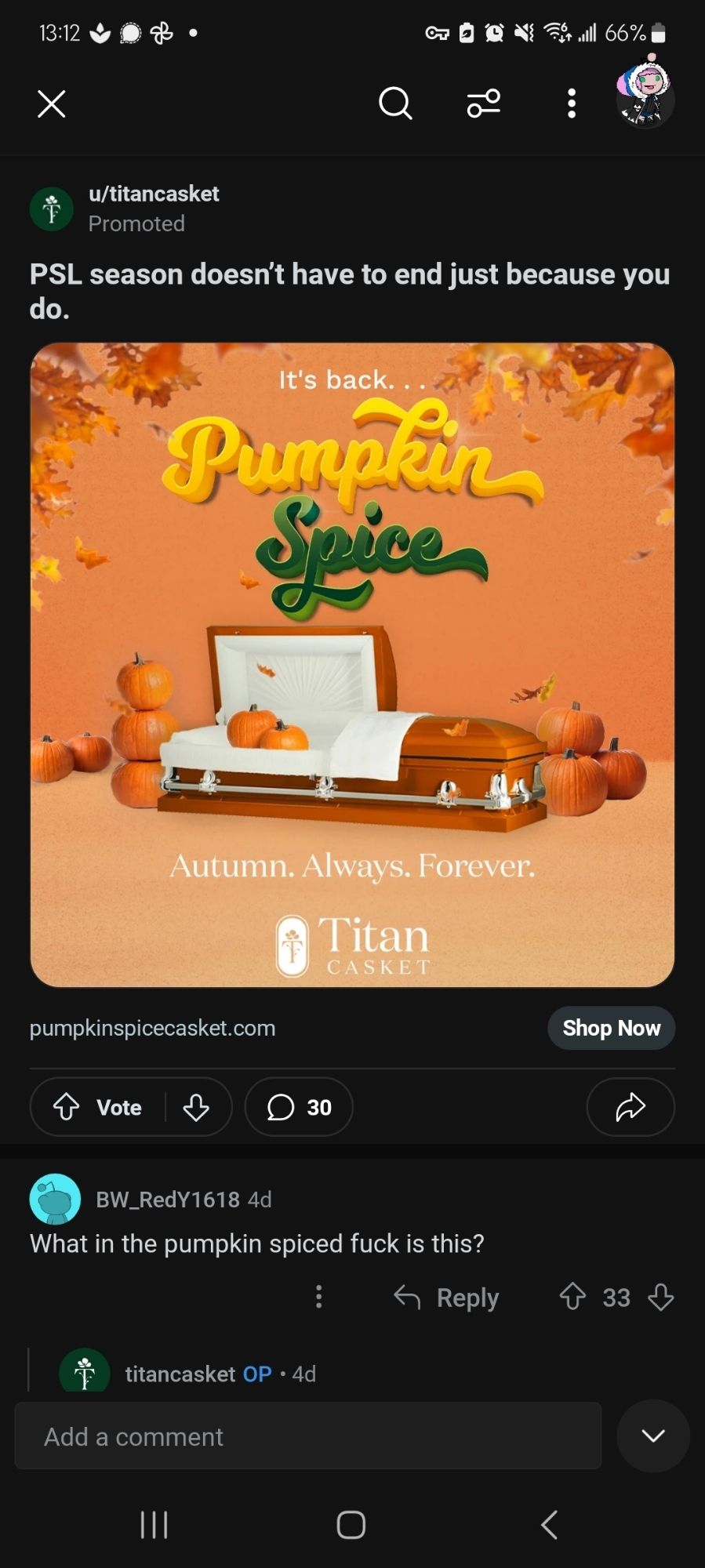 Screenshot of an ad presented to me on Reddit. Pictured on a fall-leaf-framed, pumpkin colored background is a pumpkin colored casket, filled with and surrounded by pumpkins. Above, the ad reads, PSL season doesn't have to end just because you do. Below, the tag line reads, Autumn. Always. Forever.
The top comment below the ad says the only thing that can be said, which is of course, what I'm the pumpkin spiced fuck is this?