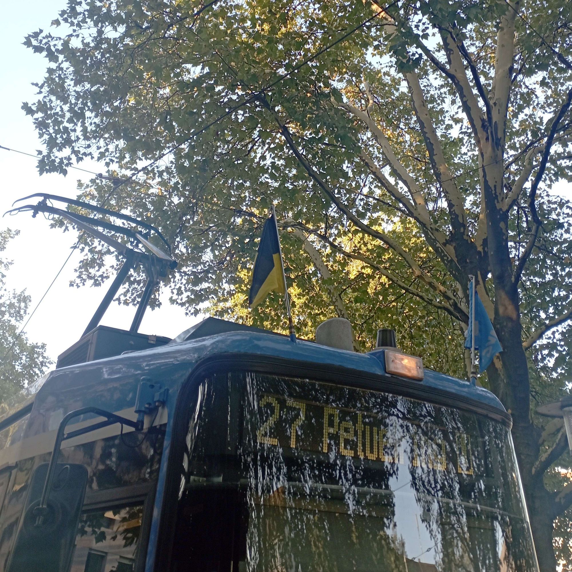 Blick auf Tram vom Typ R2 in der noch von Bäumen grün umsäumten Torschleife am Sendlinger Tor. Zu erkennen sind obere Teile der Front- und rechten Seitenscheibe mit Außensspiegel. Darüber Stroamabnehmer. An der Dachspitze sind zwei Flaggen (schwarz-gelb  & MVG-blau mit weißem Logo) zu erkennen.