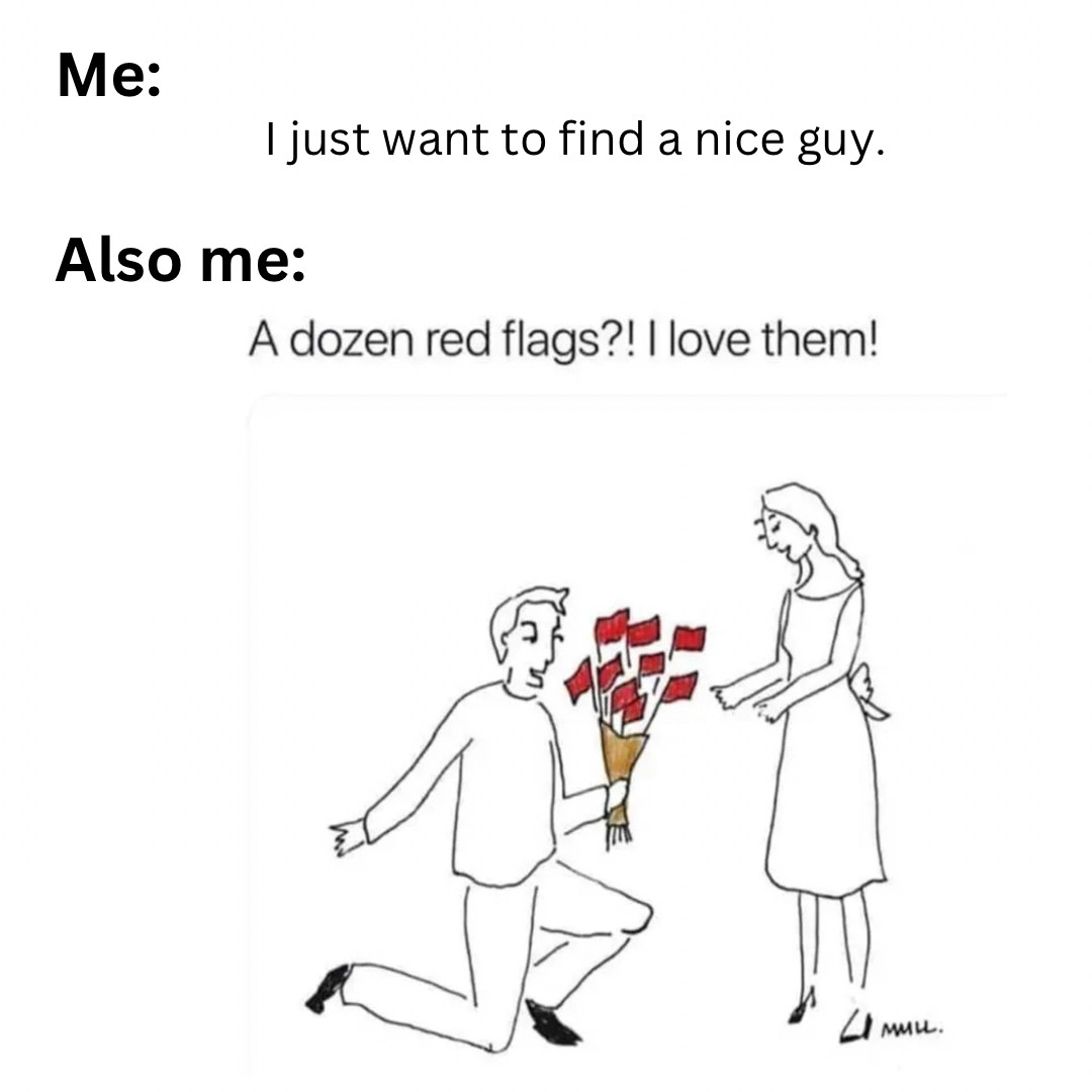 Meme that says -

Me: I just want to find a nice guy.
Also me: A dozen red flags?! I love them!

With a guy on bended knee giving a woman a girl a bouquet of red flags.  