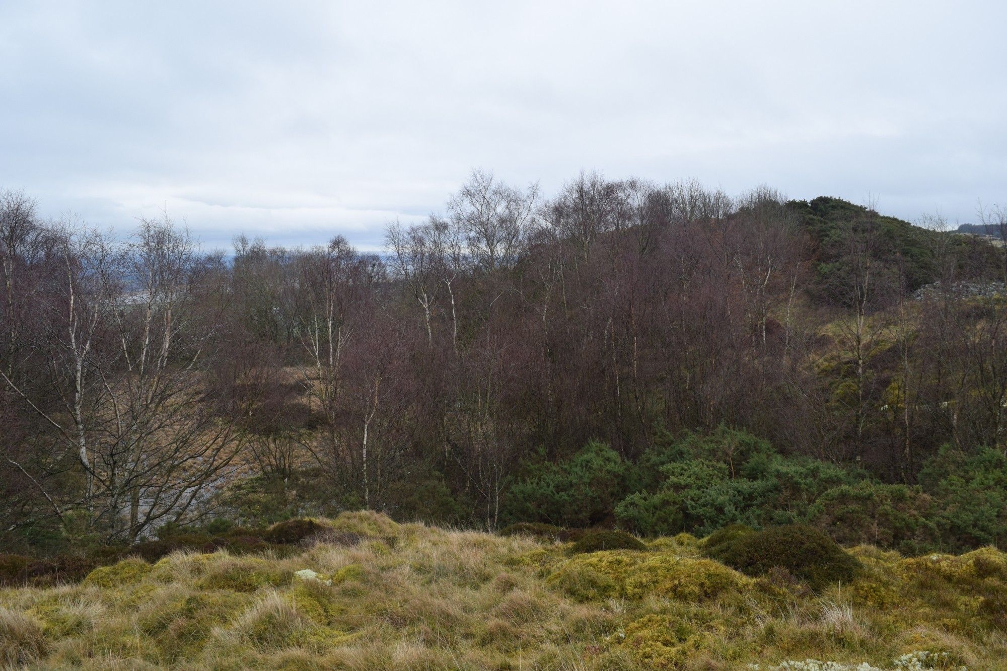 The pond to the left and the fort, on the rise, to the right.