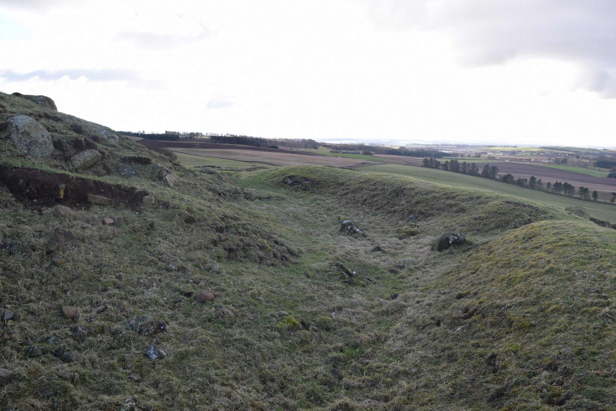 Looking along the annex ditch.