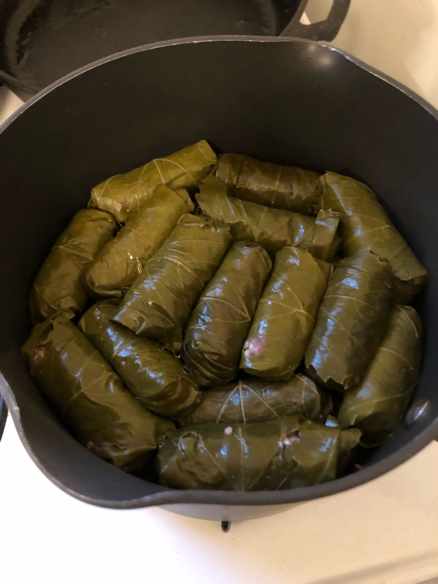 Photo of a pot of neatly rolled grapeleaves (warak arish)