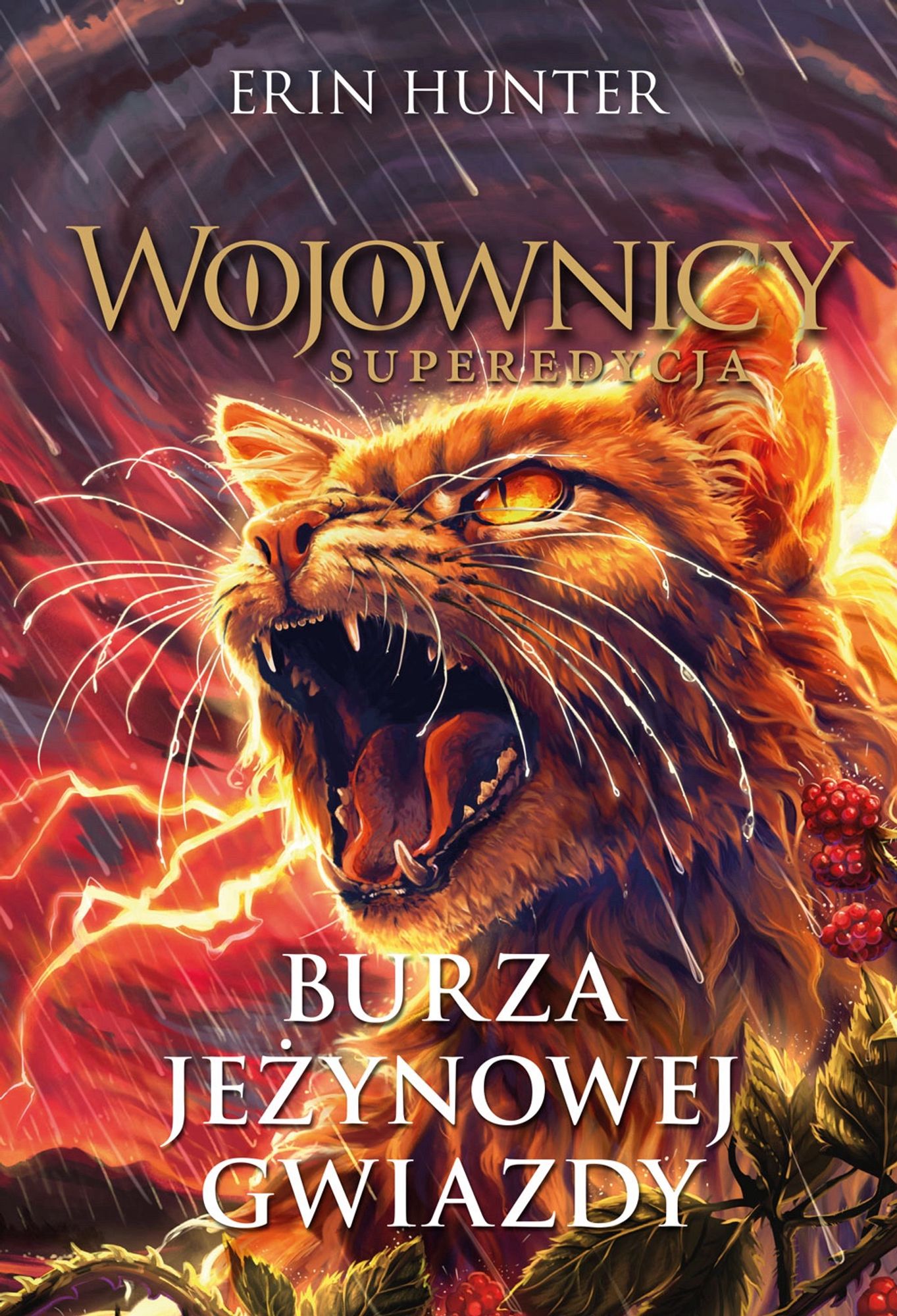 Polish cover of Bramblestar’s Storm. Cover shows Bramblestar in the middle of the storm with a red sky and lightning in the background, along the bottom edge and right corner is brambles.