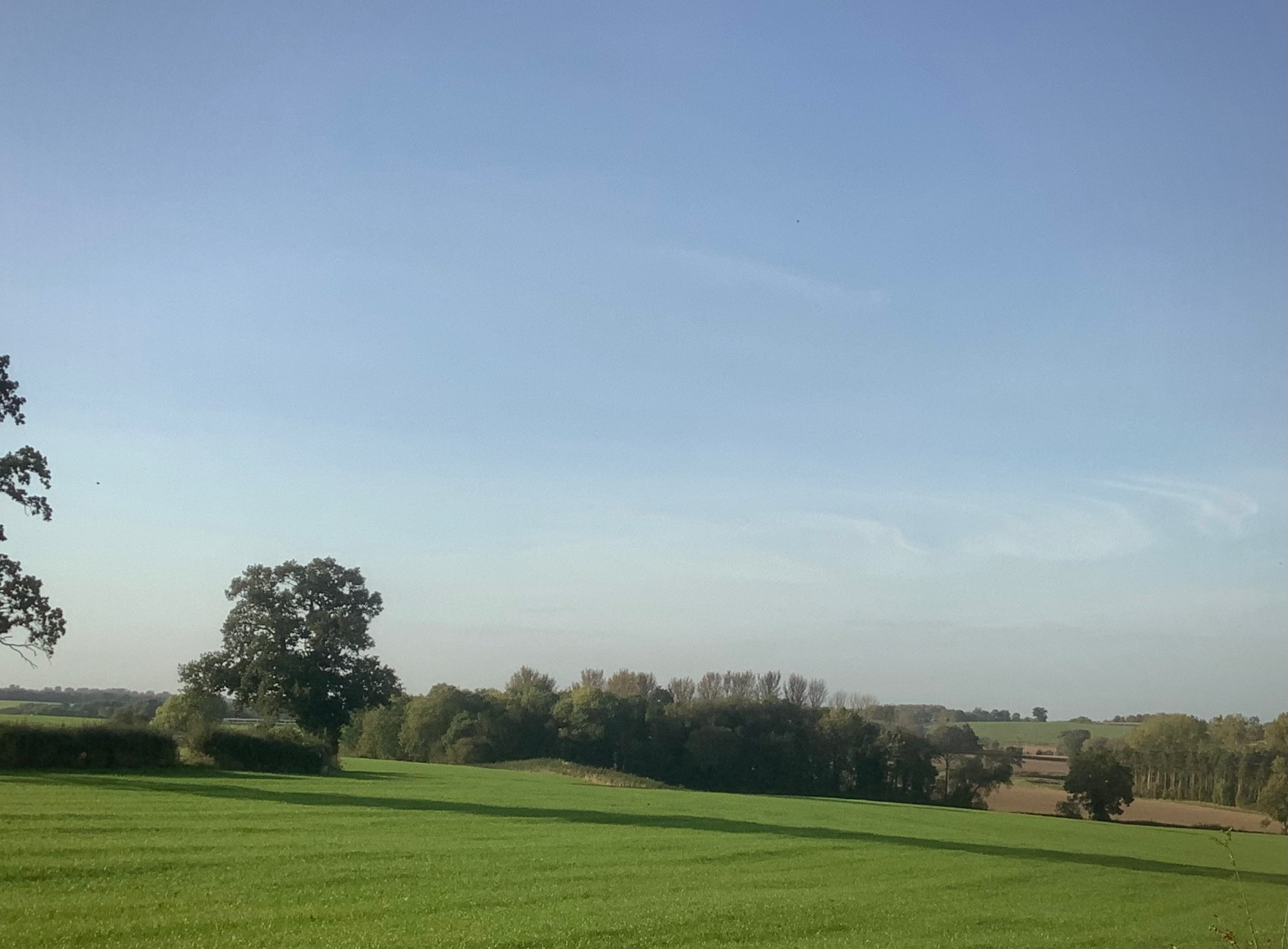 A green field edged with trees, long dark shadows cast across the grass and a large hazy blue sky taking up most of the view.