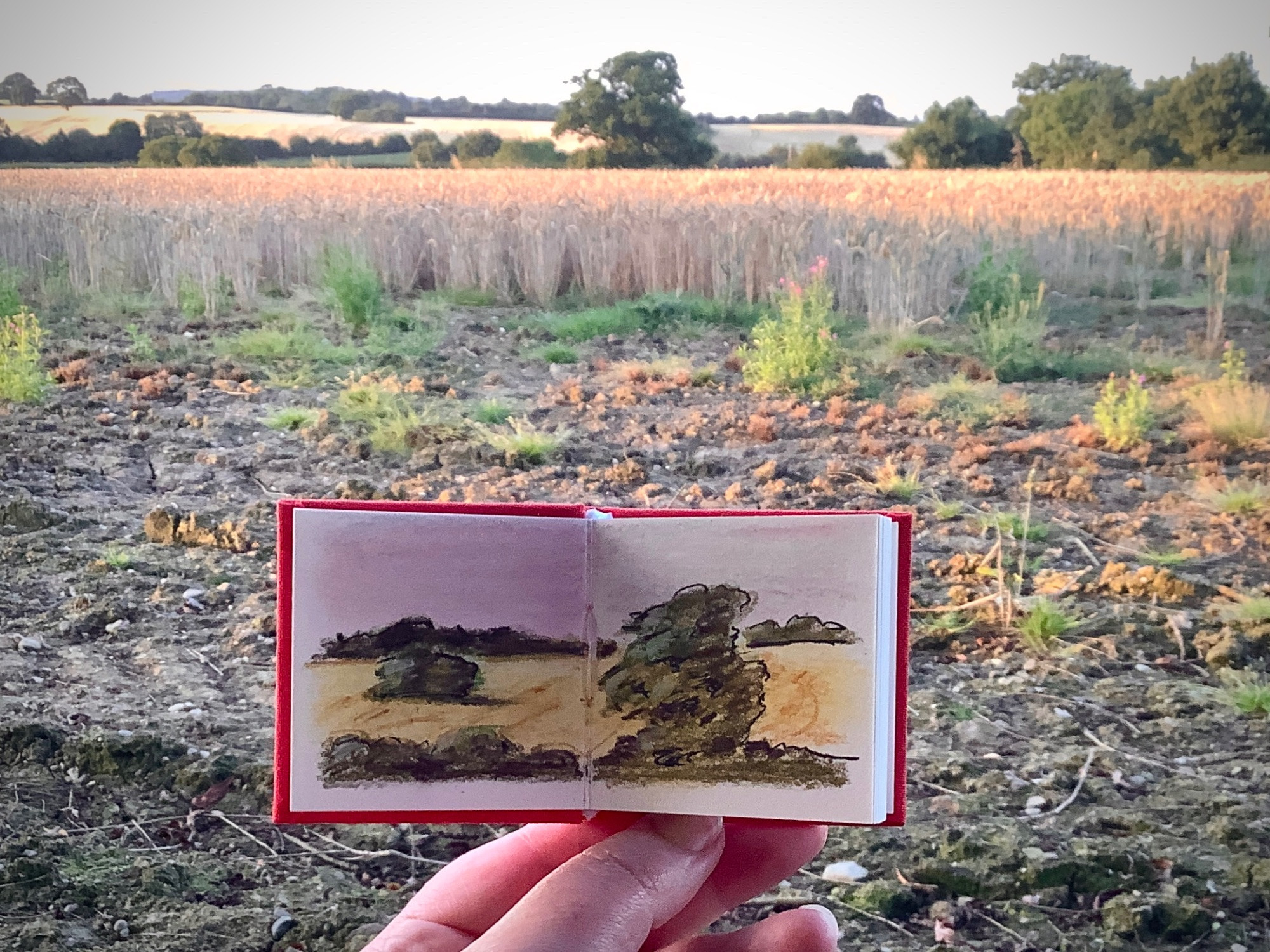 A tiny sketchbook with pages held open in a hand in front of  a rolling summer landscape of lushly green leaves trees and ripe golden wheat fields.