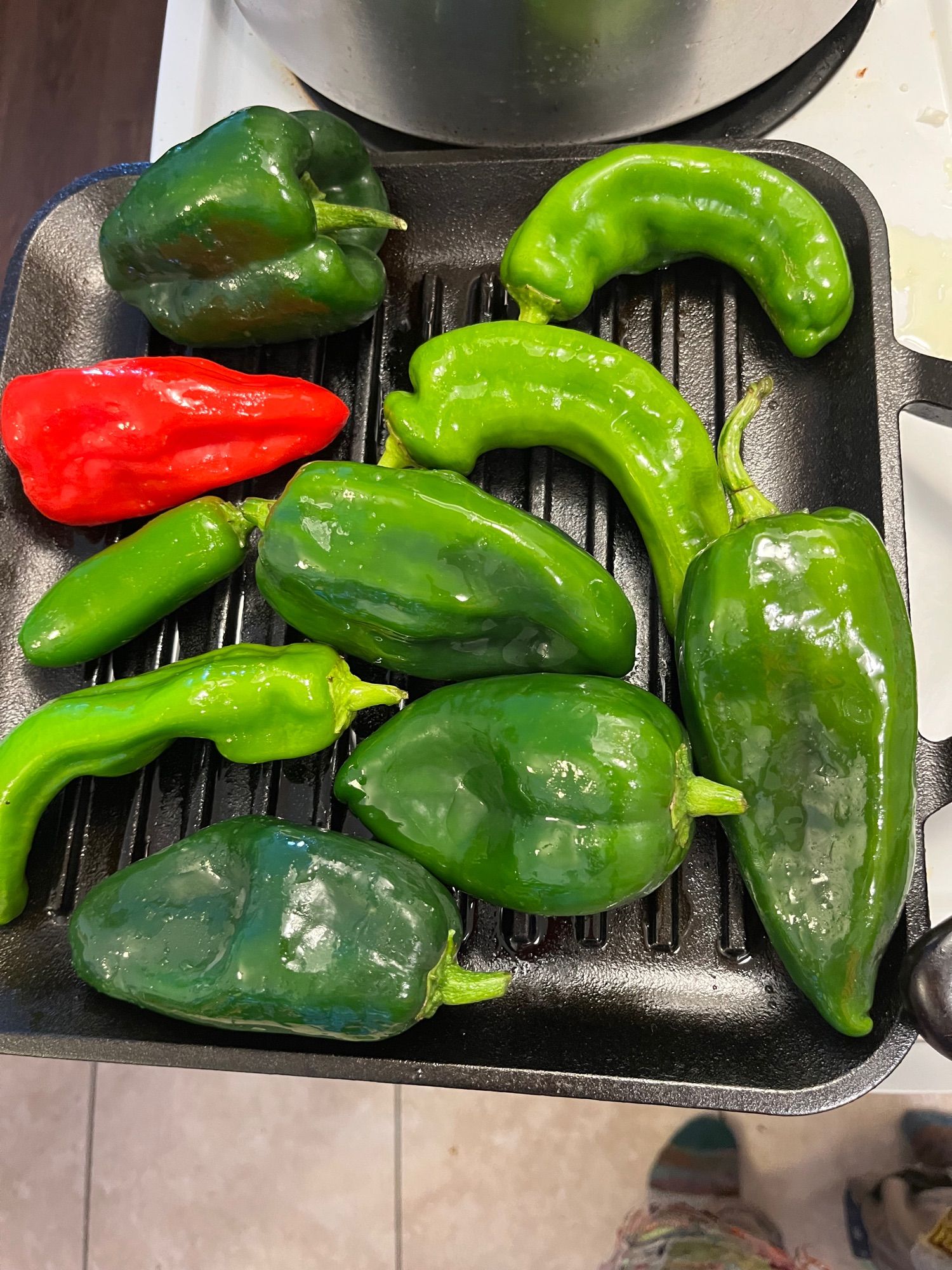 a grill pan full of glistening peppers including shishitos and poblanos and one solitary red pepper of some kind that is supposed to be hot