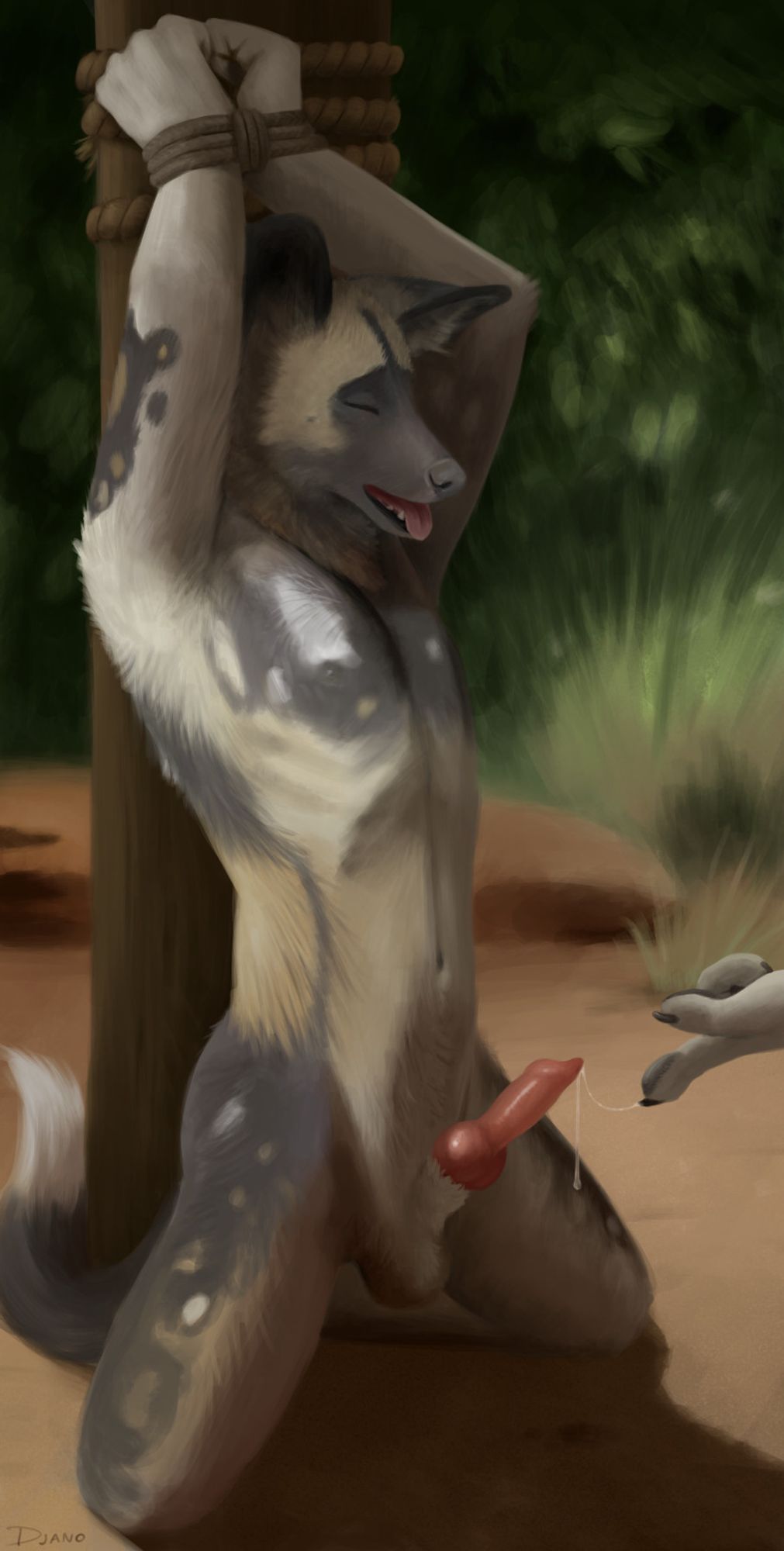 Anthro African wild dog bound and teased by an offscreen hand #furryart