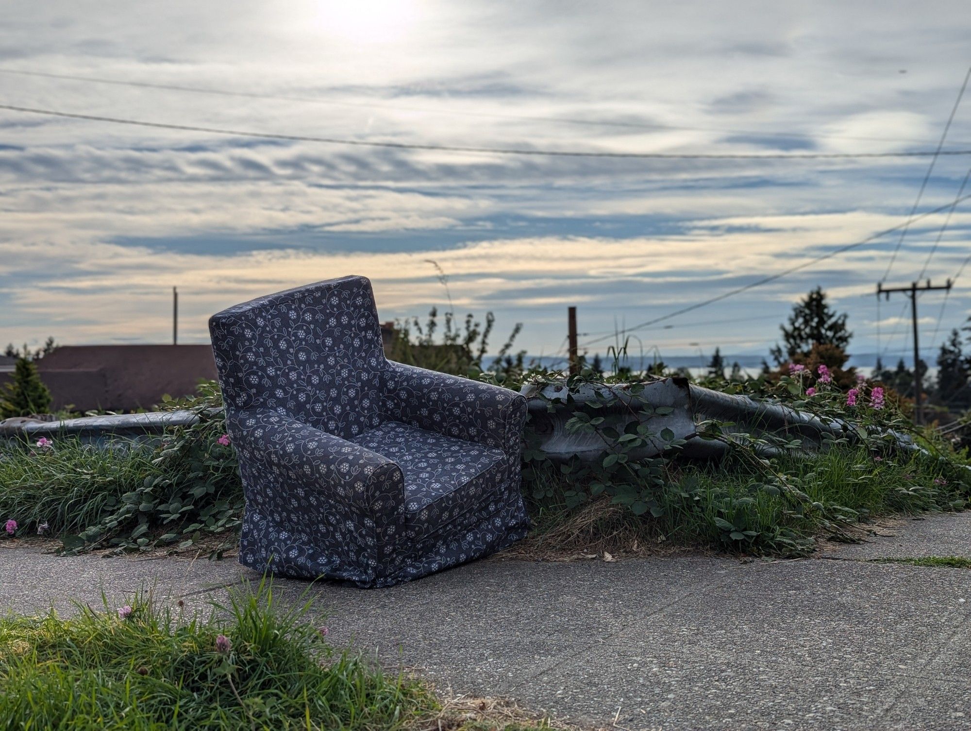 An upholstered blue floral armchair rests cockeyed against a metal barrier on a hill, angled towards a blushing sunset. It's off kilter due to a missing furniture foot. There's lush green overgrown weeds and vines including some pink flowing sweet pea.