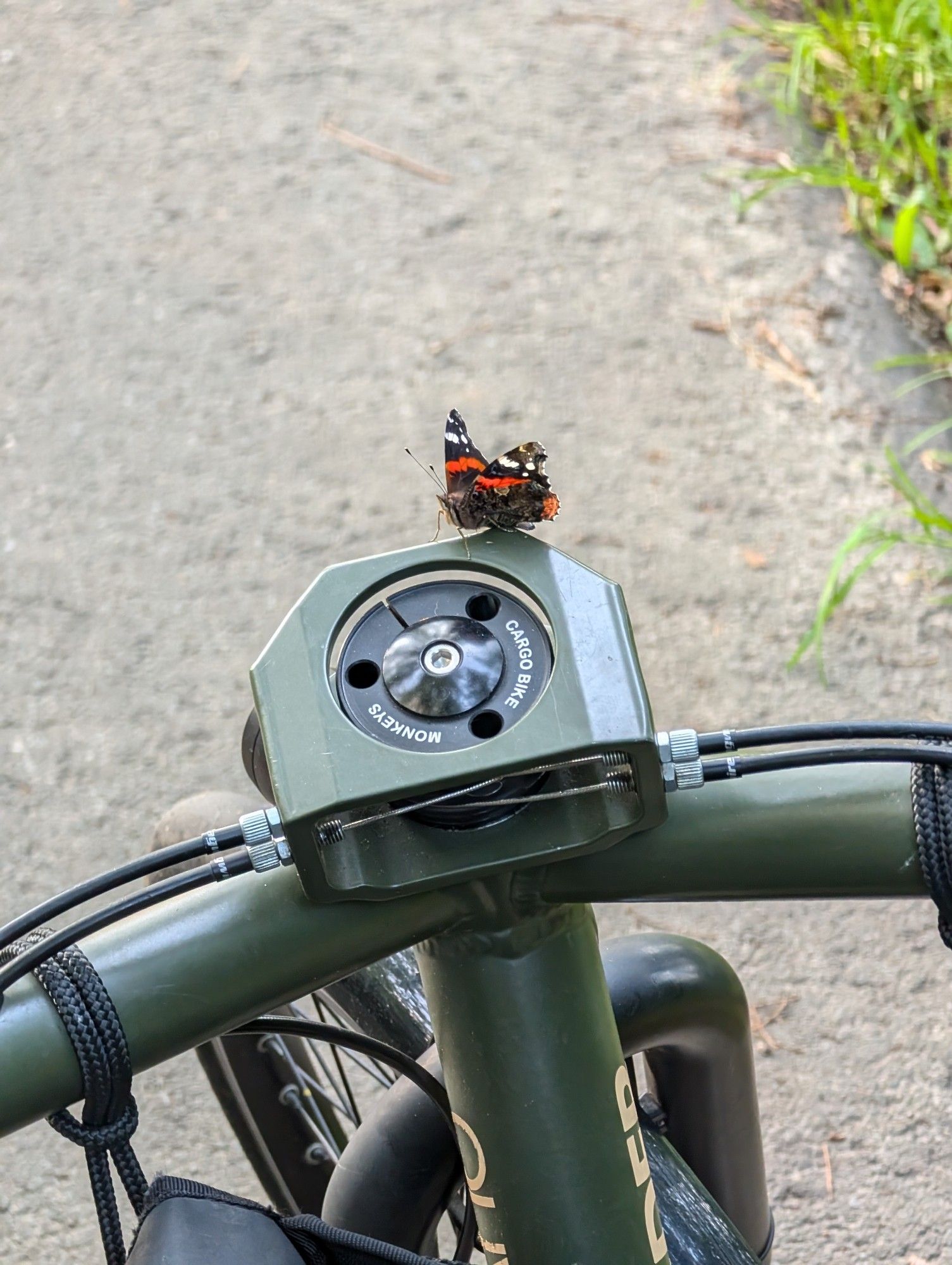 Ein Schmetterling auf dem Lastenrad