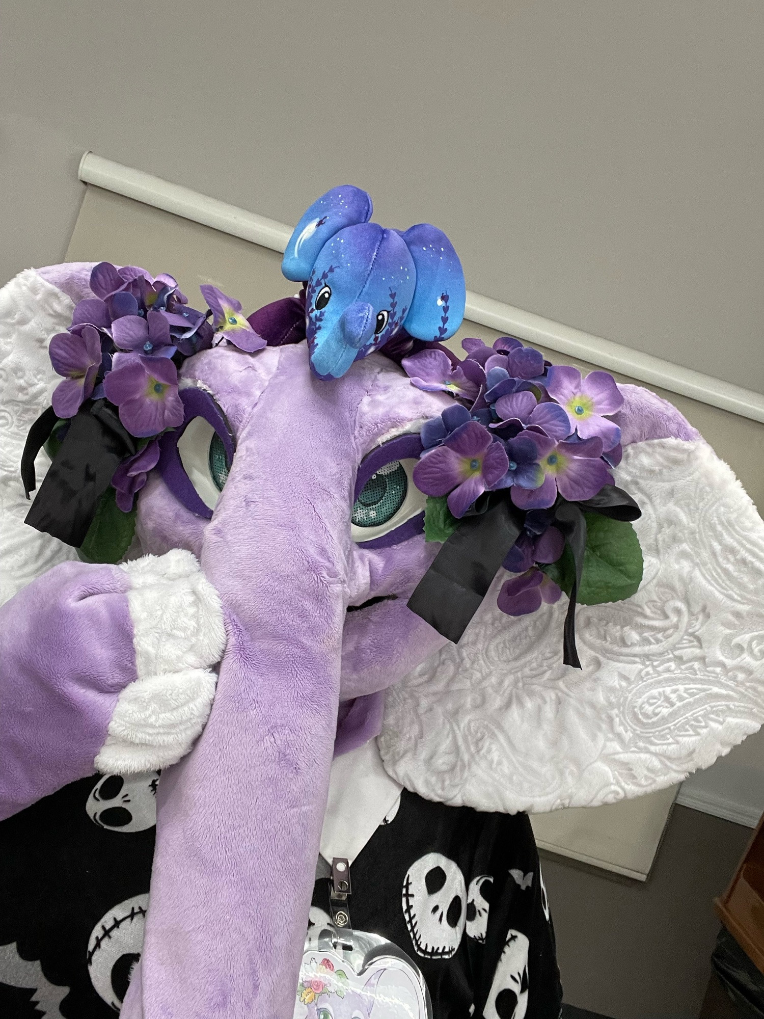 Lavender with a small blue elephant plush on top of her head