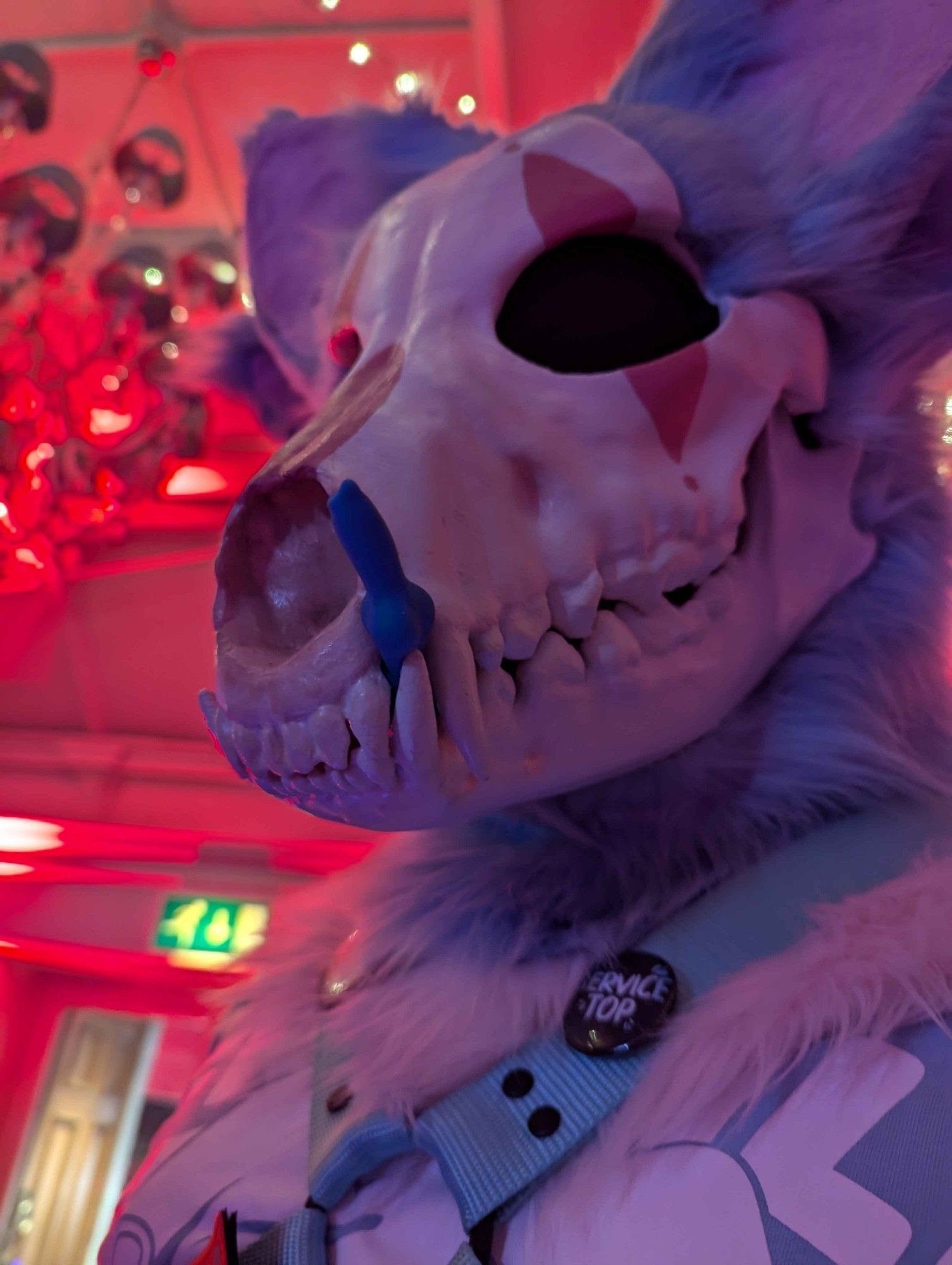 Pink and blue skulldog with a miniature silicone dildo from weredog stuck between his teeth