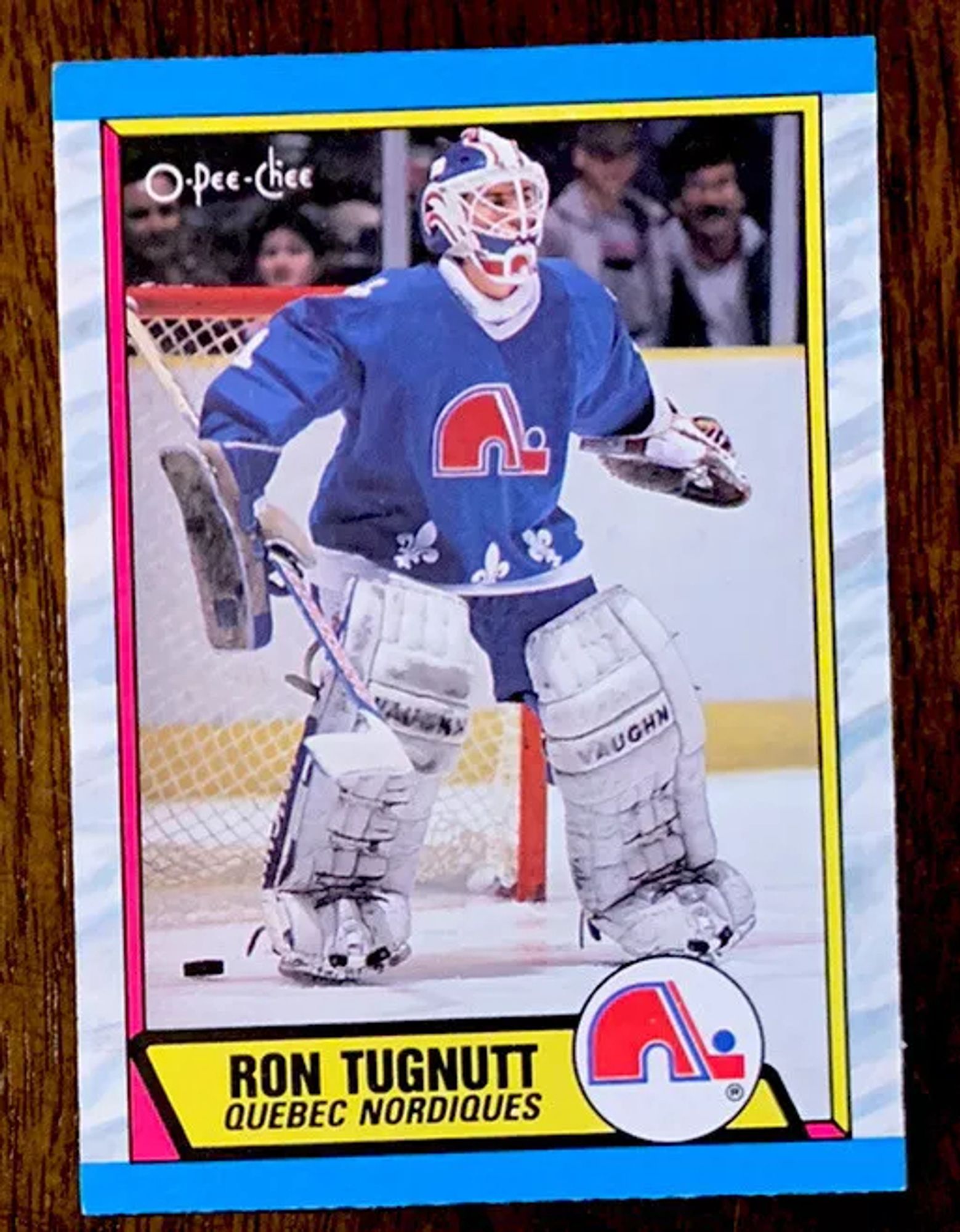 a hockey card featuring goaltender RON TUGNUTT of the Quebec Nordiques (now the Colorado Avalanche)