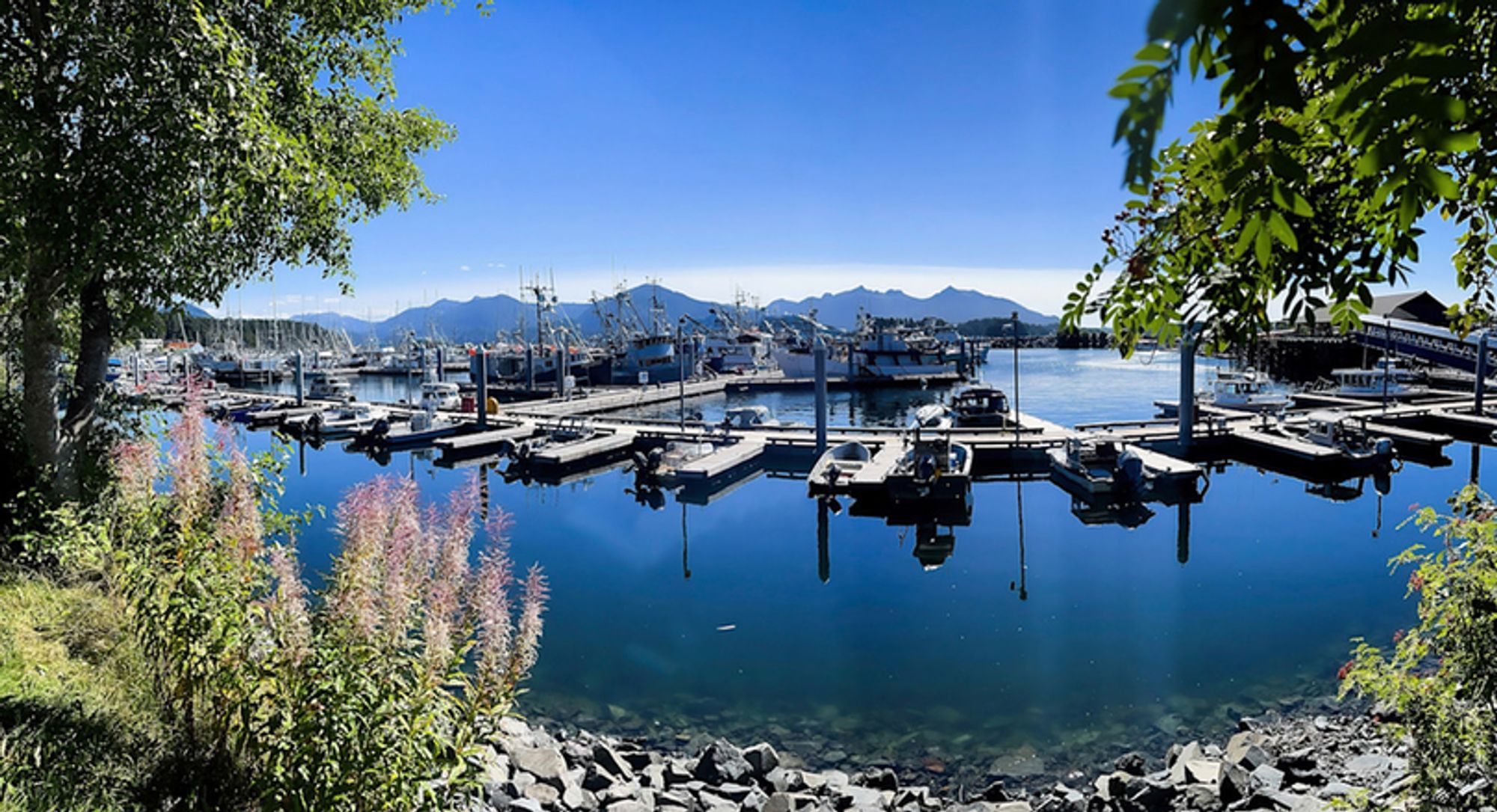 A wide-angle shot of Alaskan fishing boats at the pier in Sitka Harbor, by Tim Boese