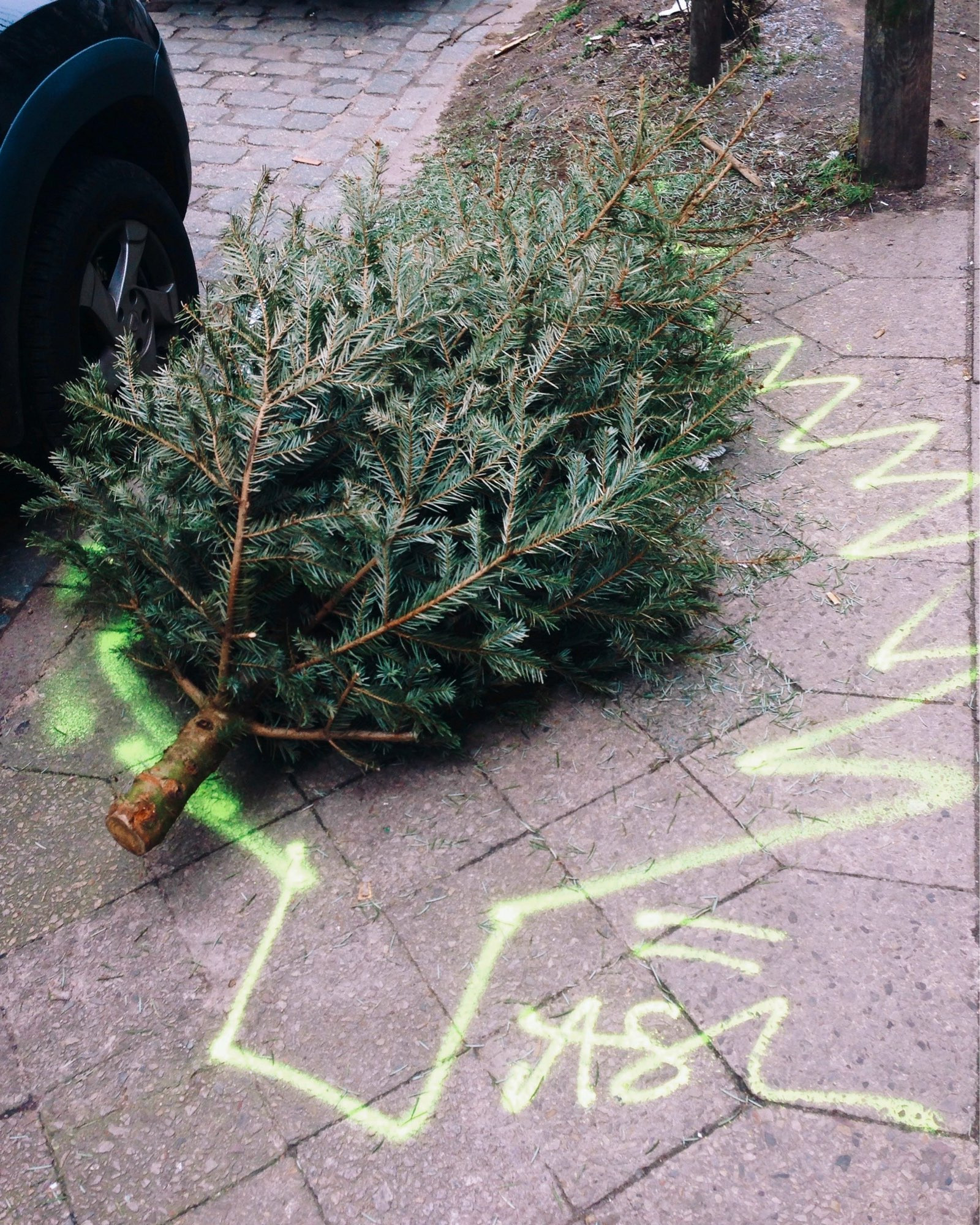 Das Bild zeigt einen ausrangierten Weihnachtsbaum, der auf einem Gehweg liegt. Der Baum, der seine Nadeln noch nicht vollständig verloren hat, liegt mit dem Stamm zur Straße hin. Auf dem Gehweg sind grellgelbe Sprühmarkierungen sichtbar, die mit einem Zickzack-Muster und Pfeilen auf den Baum hinweisen. Es scheint, als ob diese Markierungen kürzlich aufgebracht wurden und den Baum hervorheben sollen. Im Hintergrund sieht man Kopfsteinpflaster und ein parkendes Auto. Die Szene deutet auf das Ende der Weihnachtszeit hin, wo der Baum entsorgt wurde.