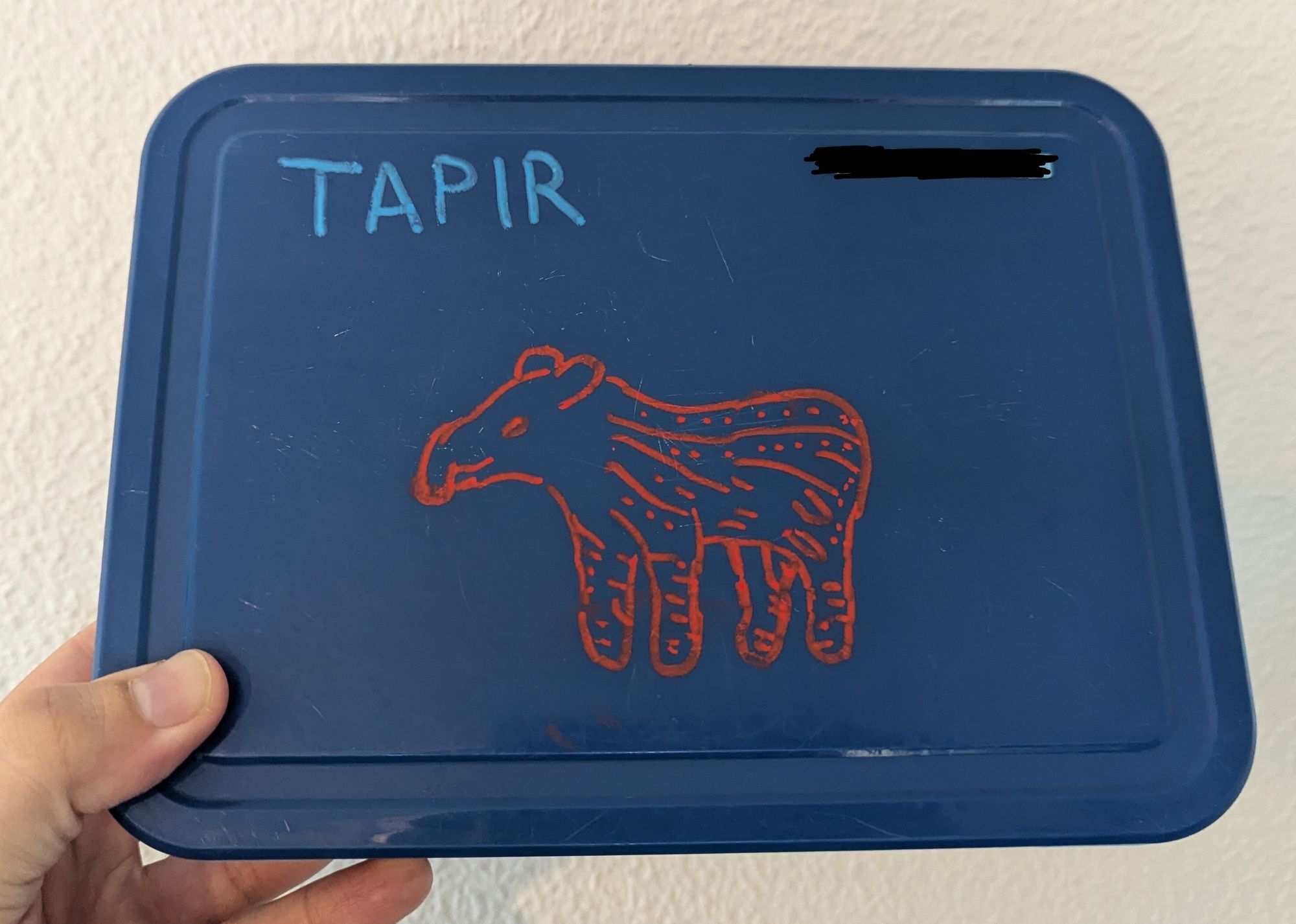 blaue Brotzeitbox auf der mit rotem Kreidestift ein Tapir-Baby gemalt wurde