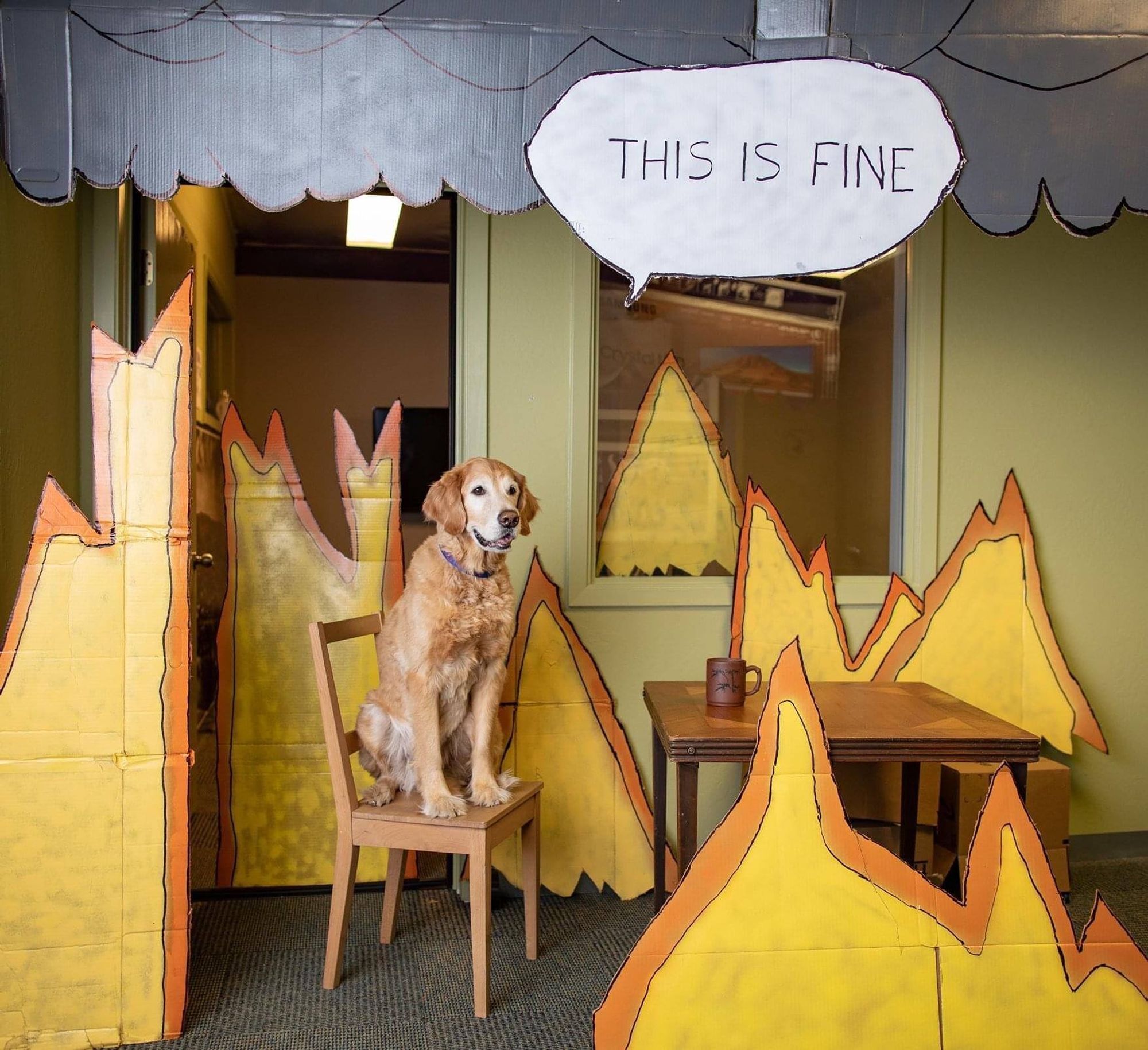 Cachorro da raça golden retriever velhinho sentado numa cadeira com uma mesa e uma caneca sobre ela e ao redor dele um fogo falso de papelão por toda a sala e na parte de cima fumaça falsa de papelão e um balão de conversa igual de revista em quadrinho escrito "This is fine". Essa foto está imitando uma famosa ilustração meme de um cachorro sentado numa cadeira dentro de uma sala pegando fogo enquanto ele diz "This is fine".