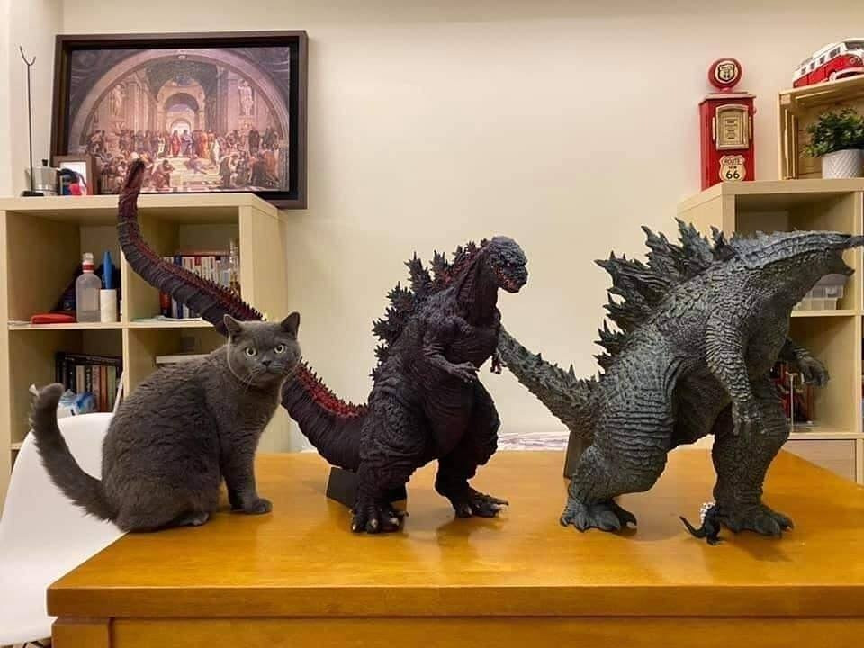 Um gato cinza e duas estátuas do godzilla com a mesma cor e fazendo a mesma pose alinhados sobre uma mesa