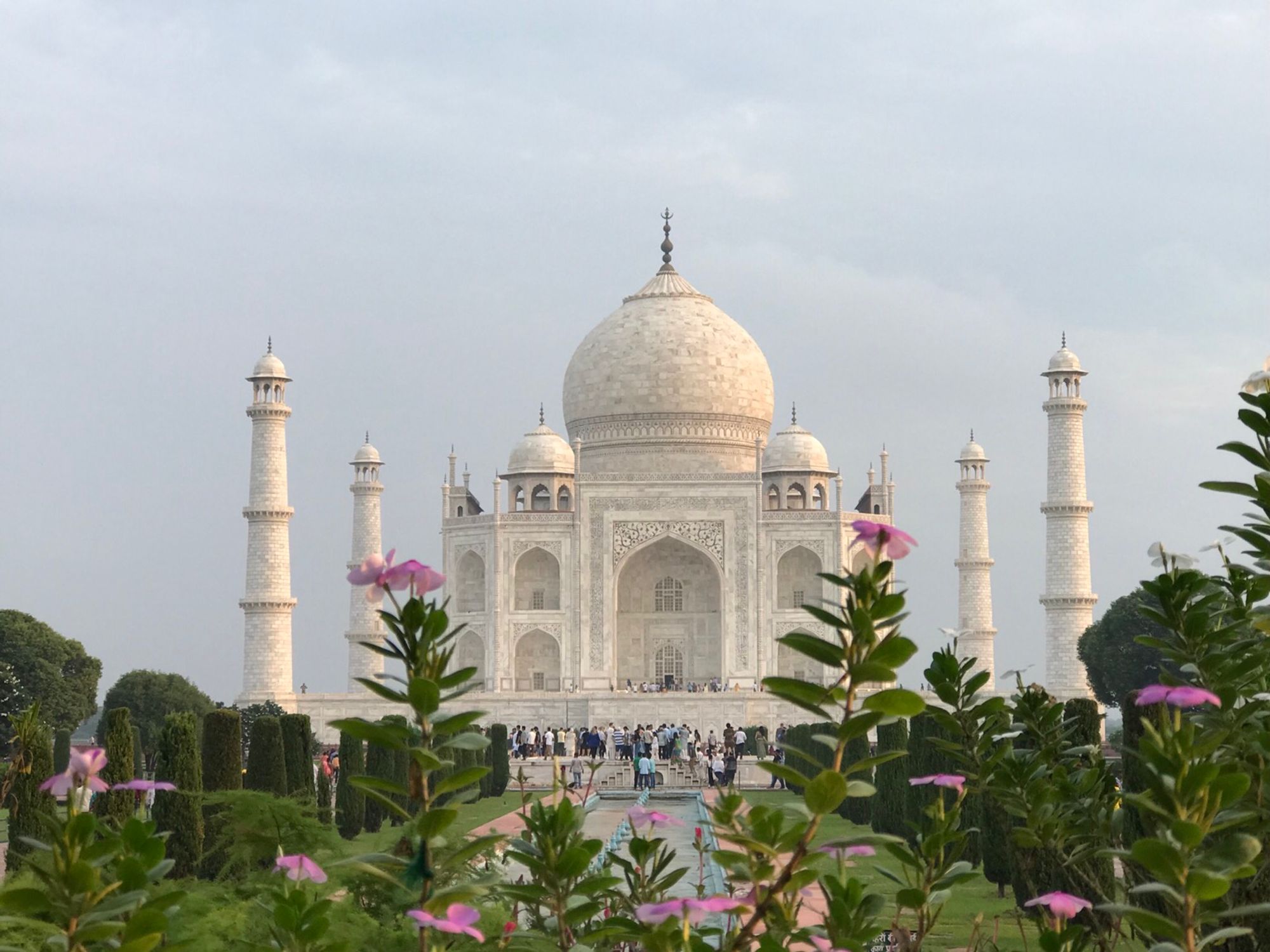 Das Foto zeigt das Taj Mahal im Licht der aufgehenden Sonne mit Blumen im Vordergrund.