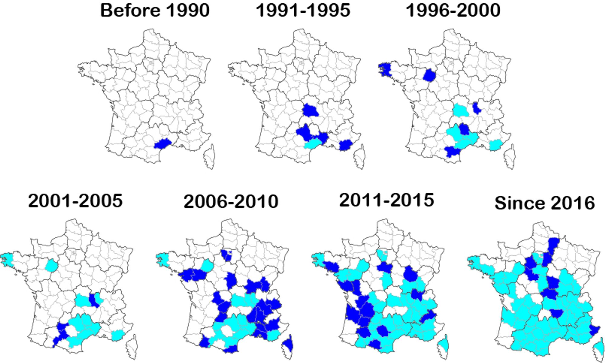 Spatio-temporal invasion of France by Bothriochloa barbinodis since 1990. For each five-year period, newly colonized French Department are shown in dark blue, those already colonized during the previous period are depicted in light blue.